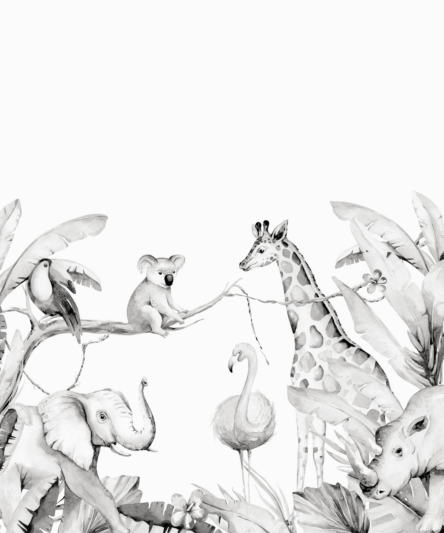 Fototapete Dschungel Tiere Schwarz-Weiß - Bambino XIX 253320 Bambino XIX photo wallpaper 253320