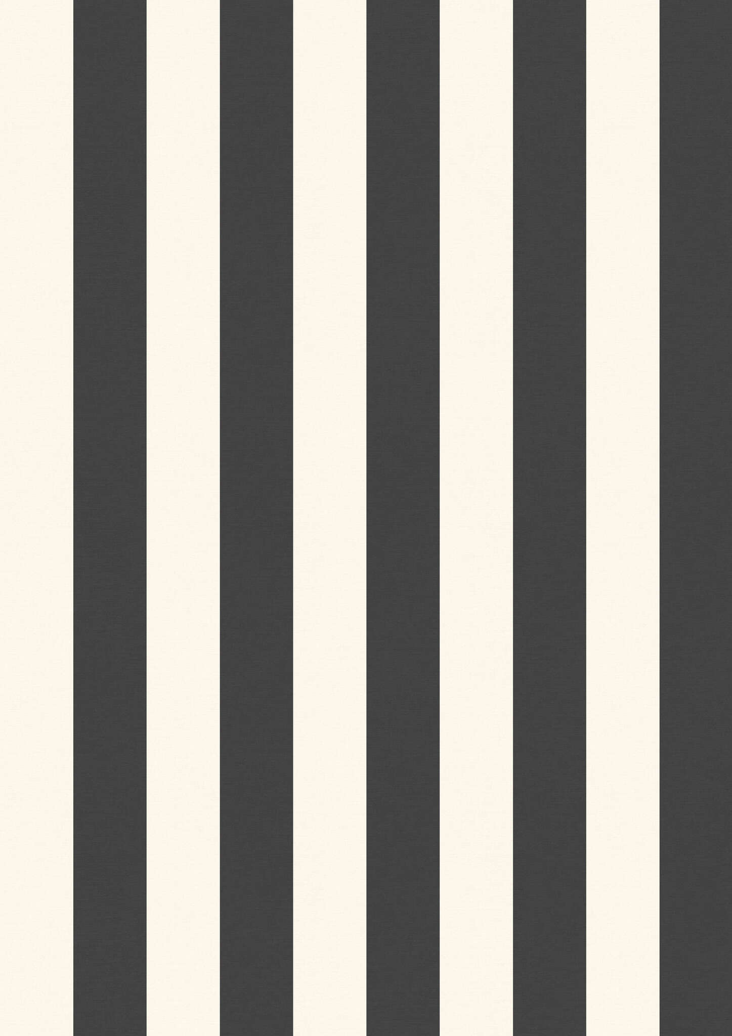 10-366662 Artikelscan 1 SCHÖNER WOHNEN collection XXL STRIPE mural in black & white photo wallpaper 366662