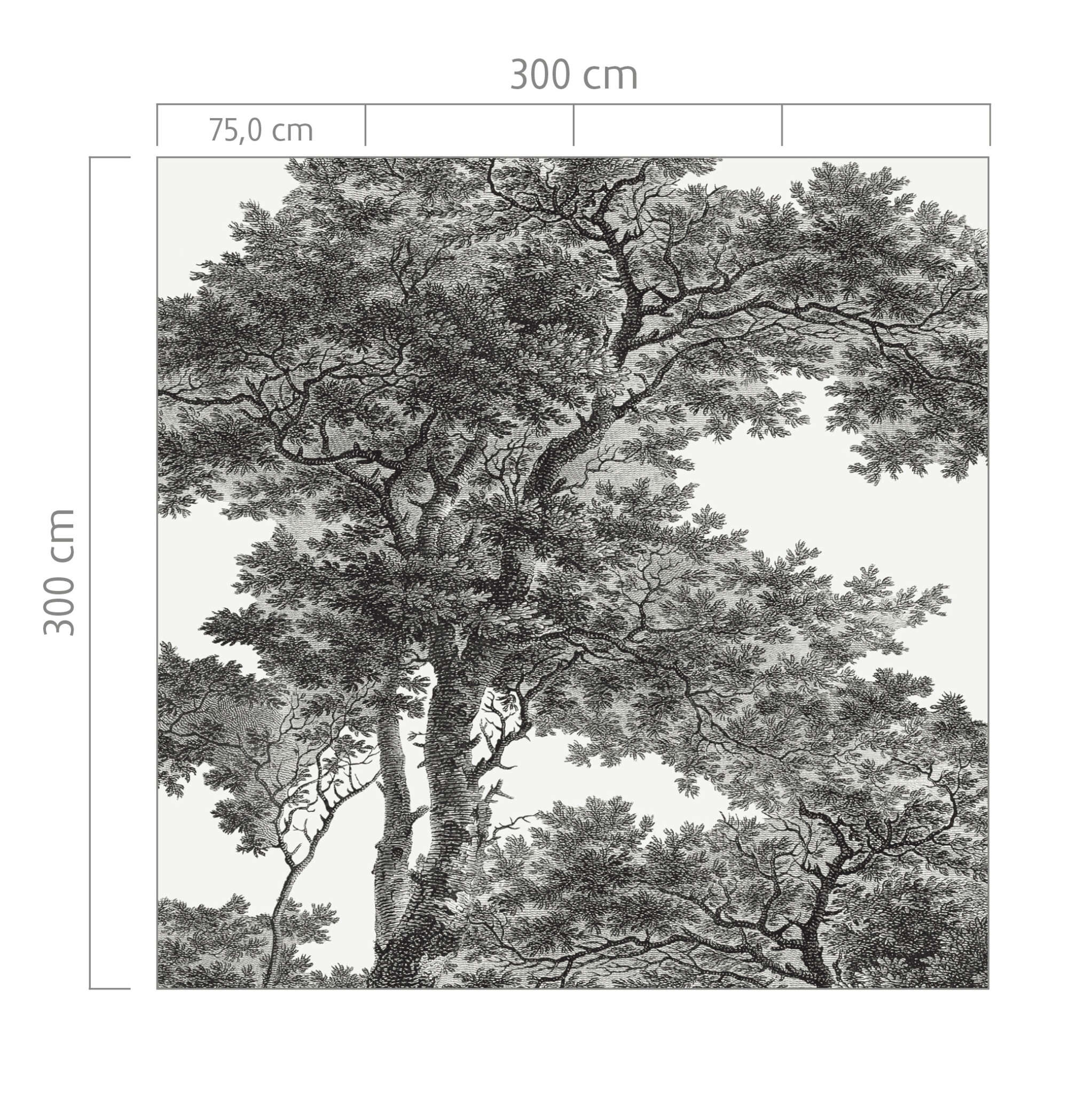 10-606898 Bildauschnitt 1