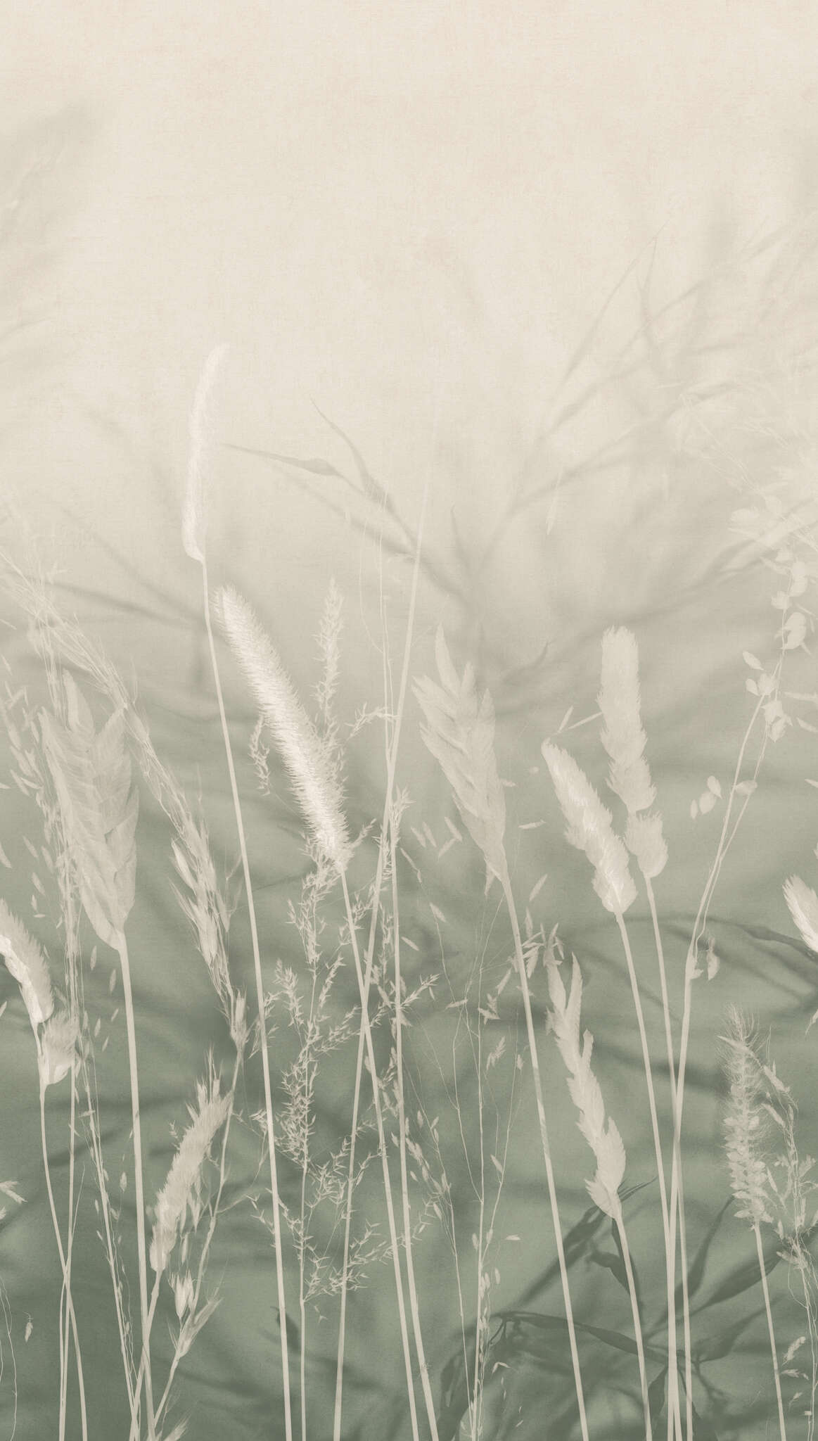 10-360134 Artikelscan 1 SCHÖNER WOHNEN-Kollektion Fototapete WHISPERING MEADOW 360134