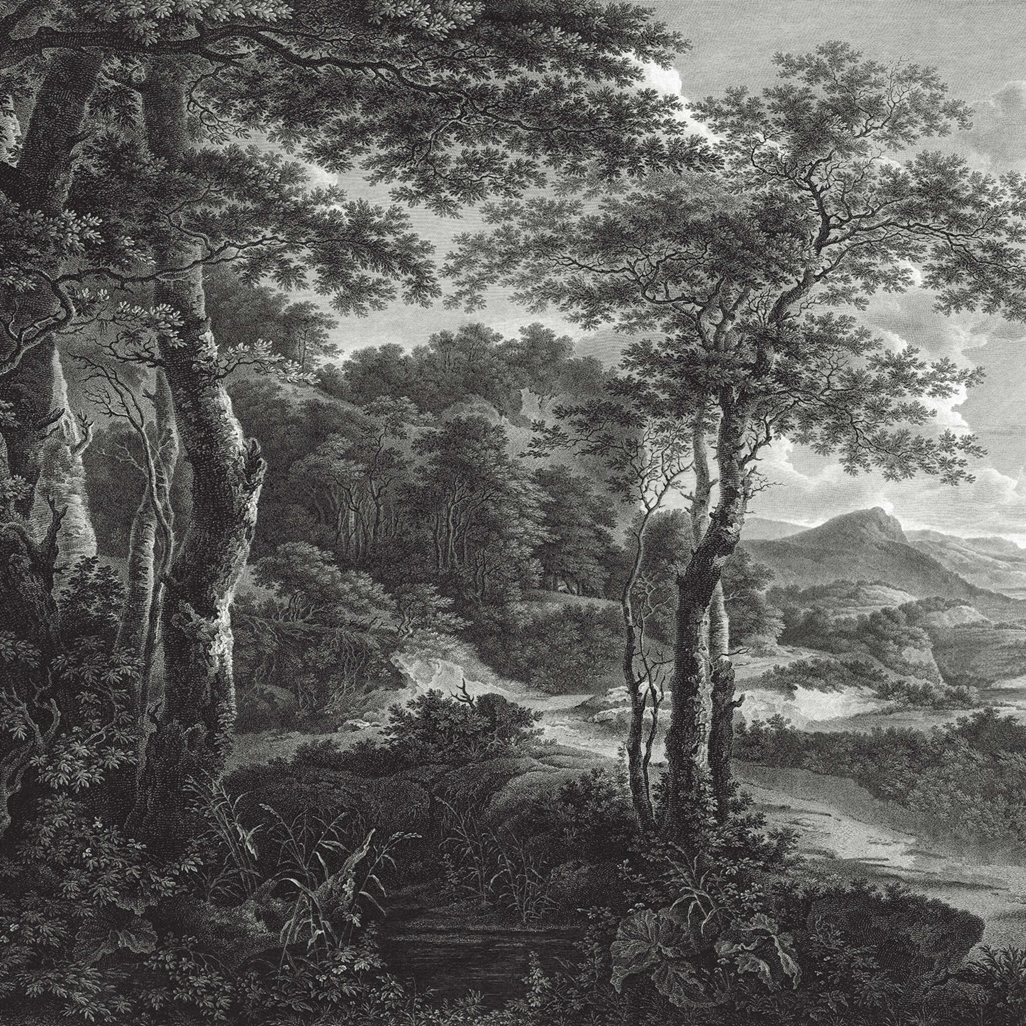 Passepartout photo wallpaper 606881