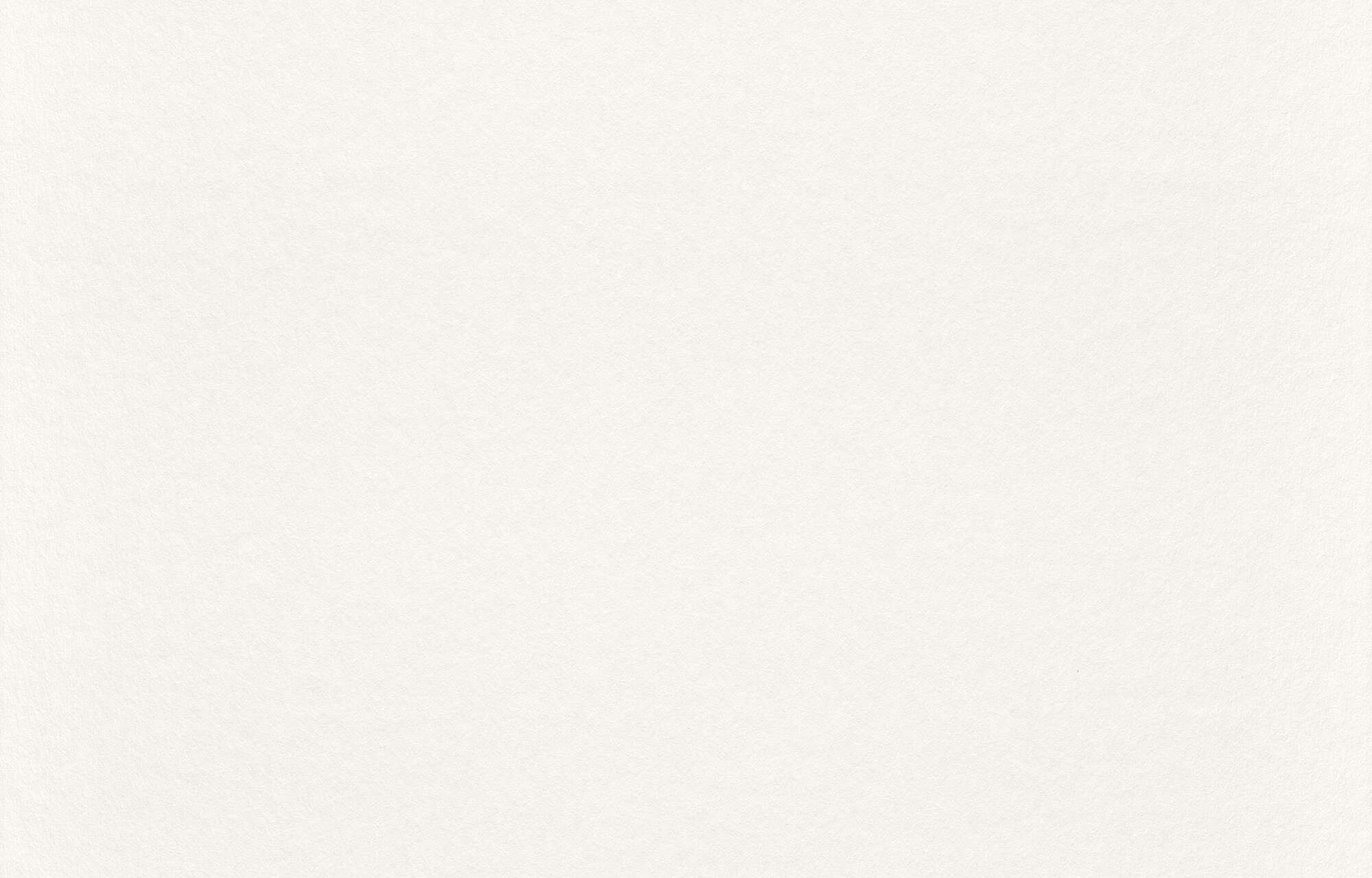 10-129809 Artikelscan 1 Painter's fleece waste fleece 129809 - 25m x 1m - 150 g/m²