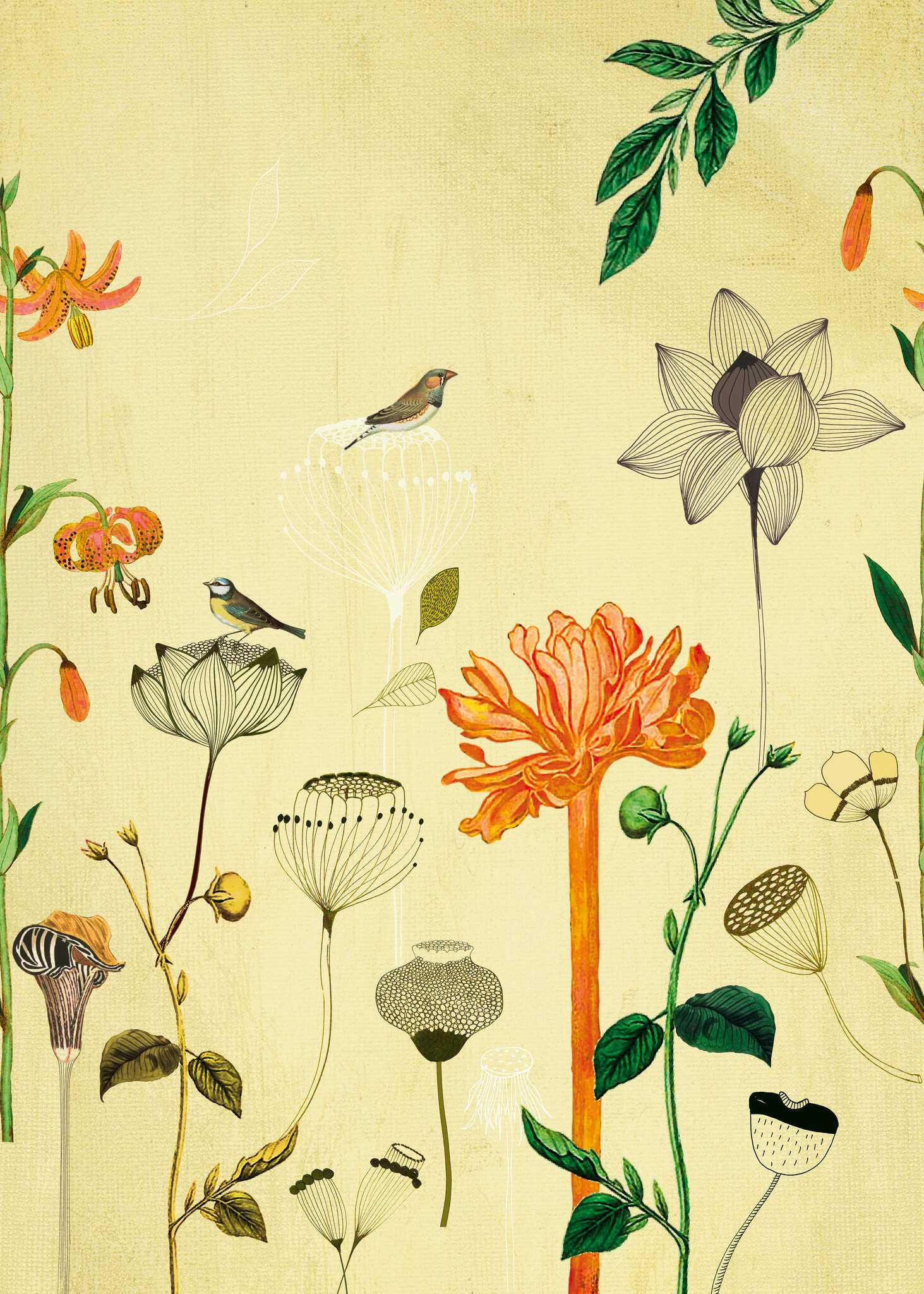 10-532036 Artikelscan 1 Most Fabulous / Onszelf wall mural 532036