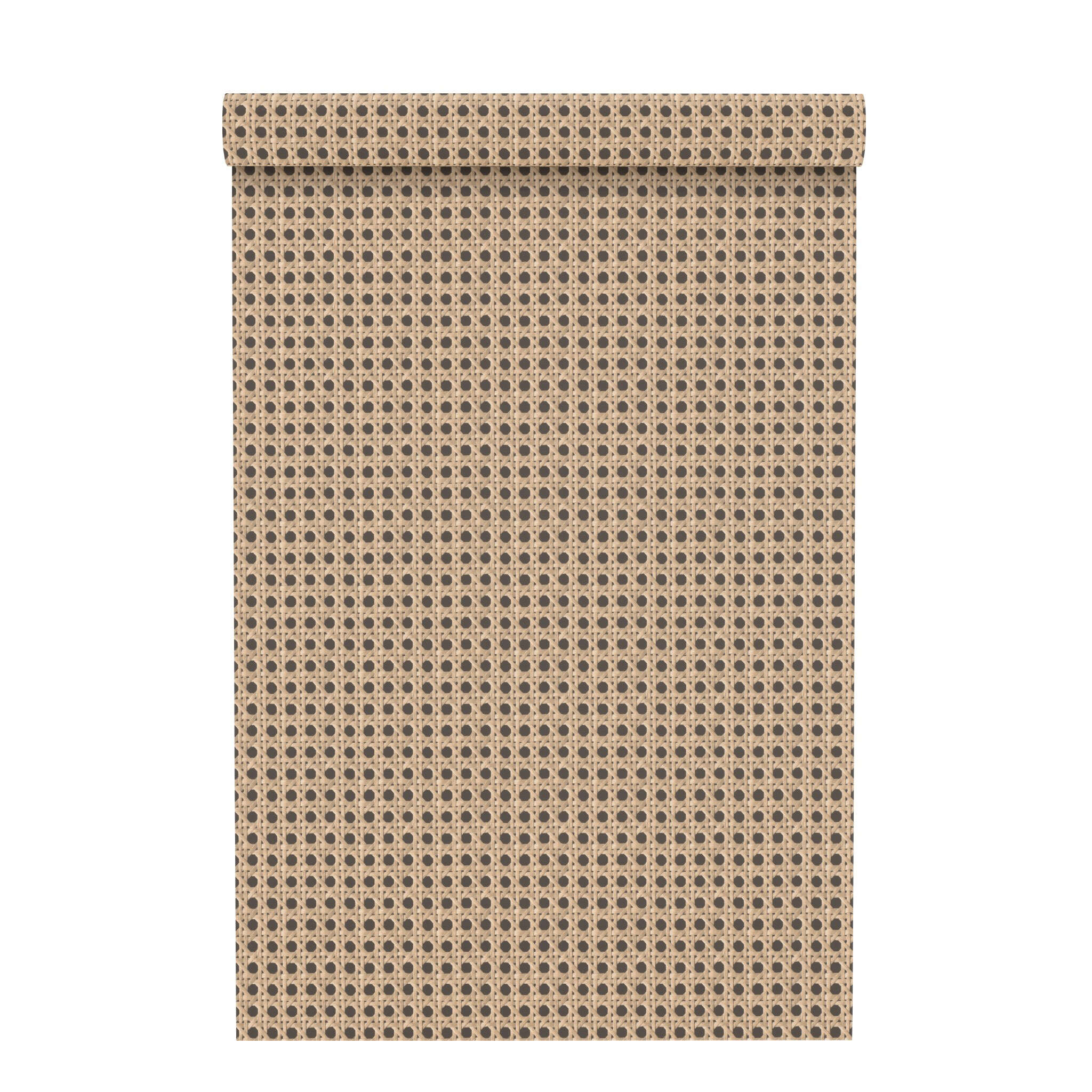 10-693300 Rolle abgerollt 1 Rouleau de déroulé avec Papier peint avec treillis viennois