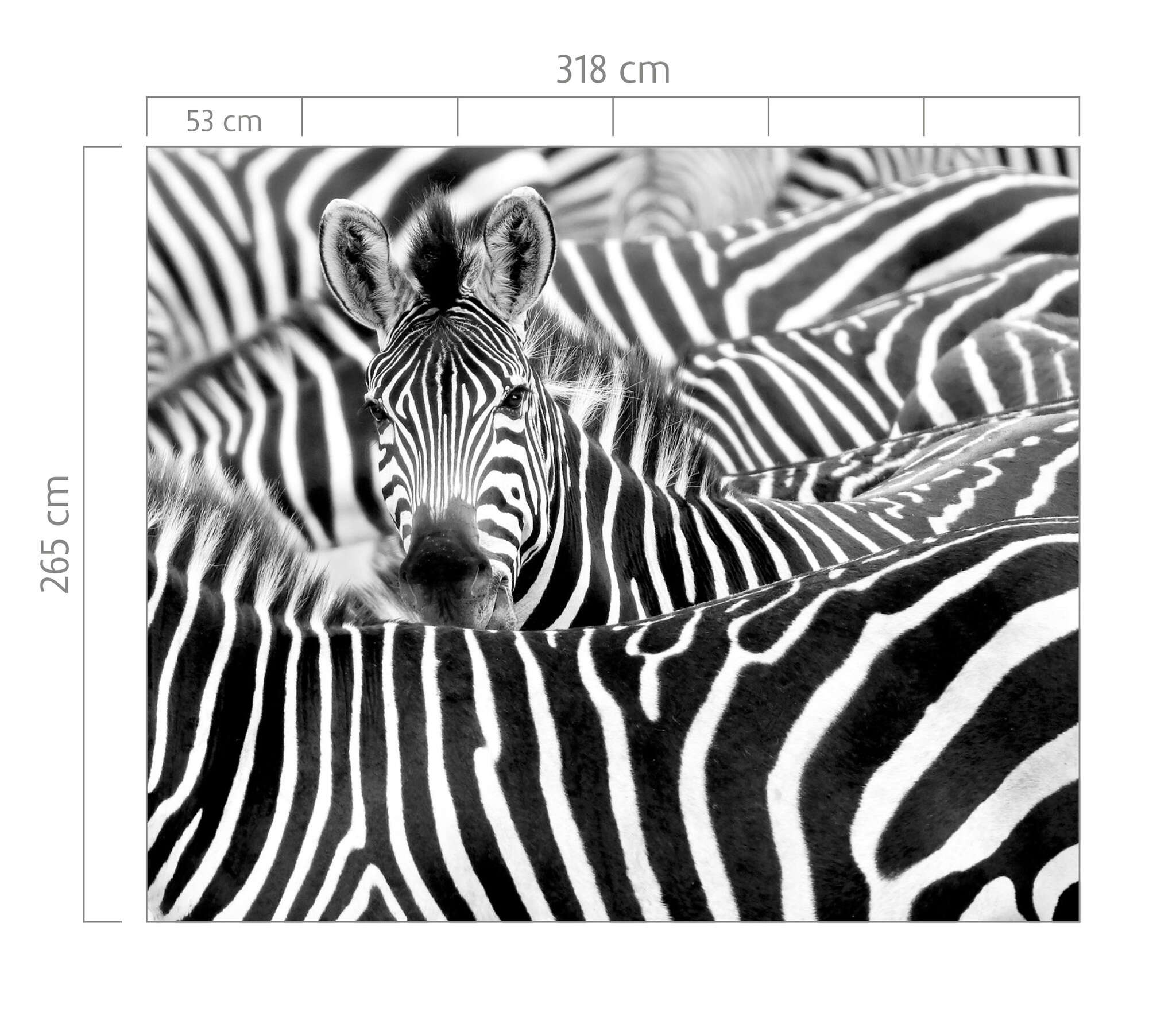 10-363616 Bildauschnitt 2