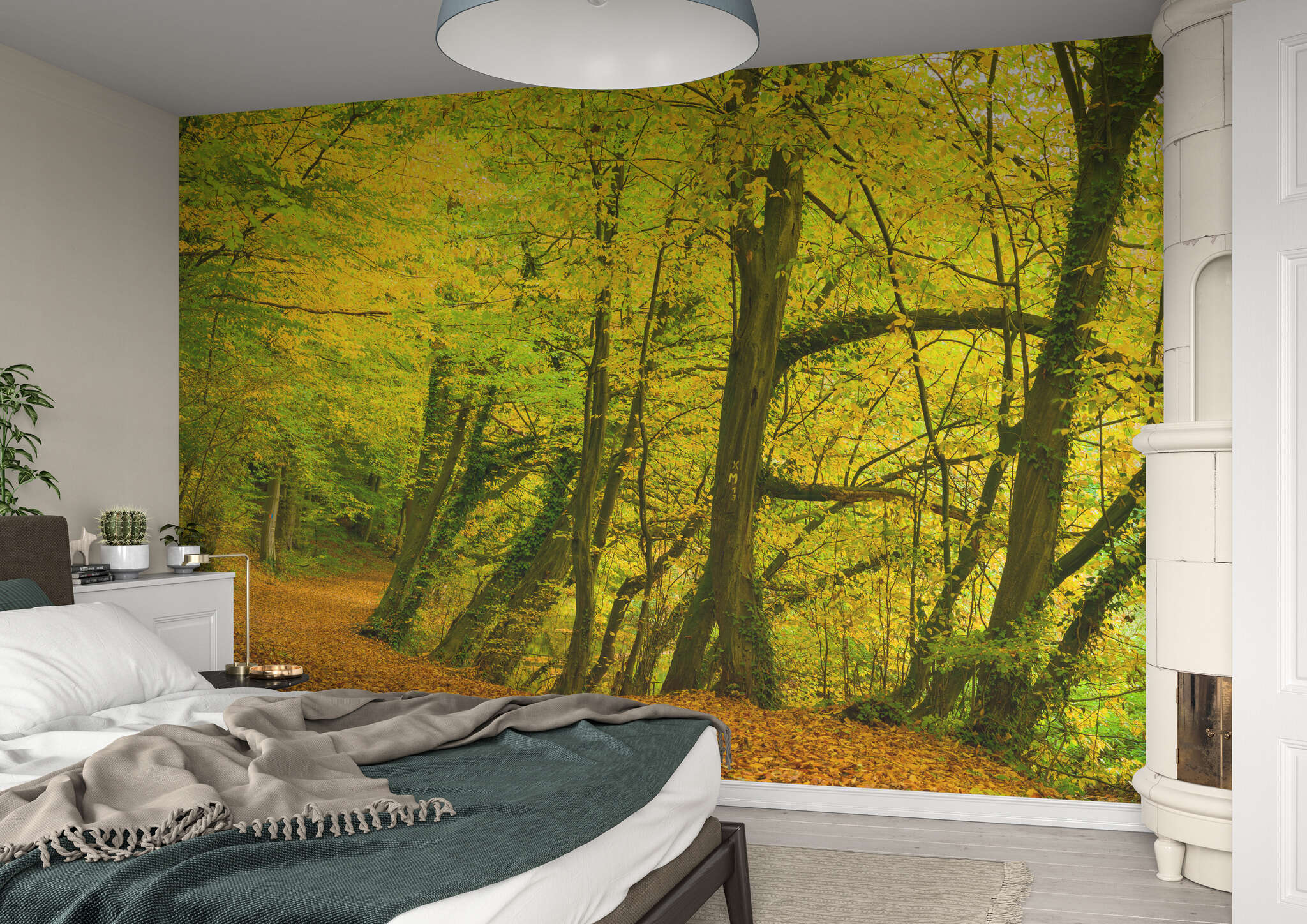Schlafzimmer mit 363753 - Fototapete - Frühherbstlich leuchtender Waldweg magicwalls Fototapete Wald 363753