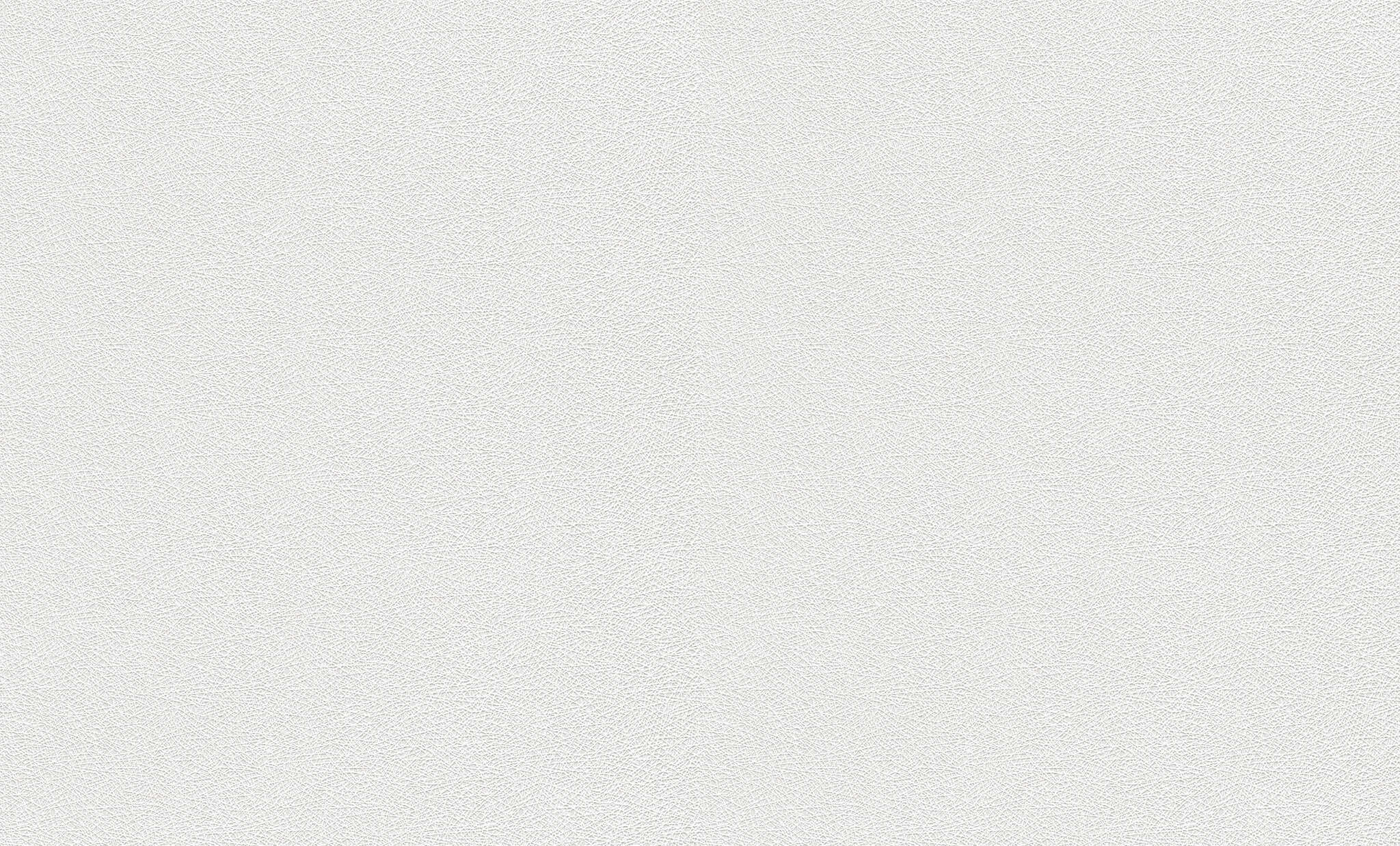 10-178814 Artikelscan 1 Wallton überstreichbar 25m 178814