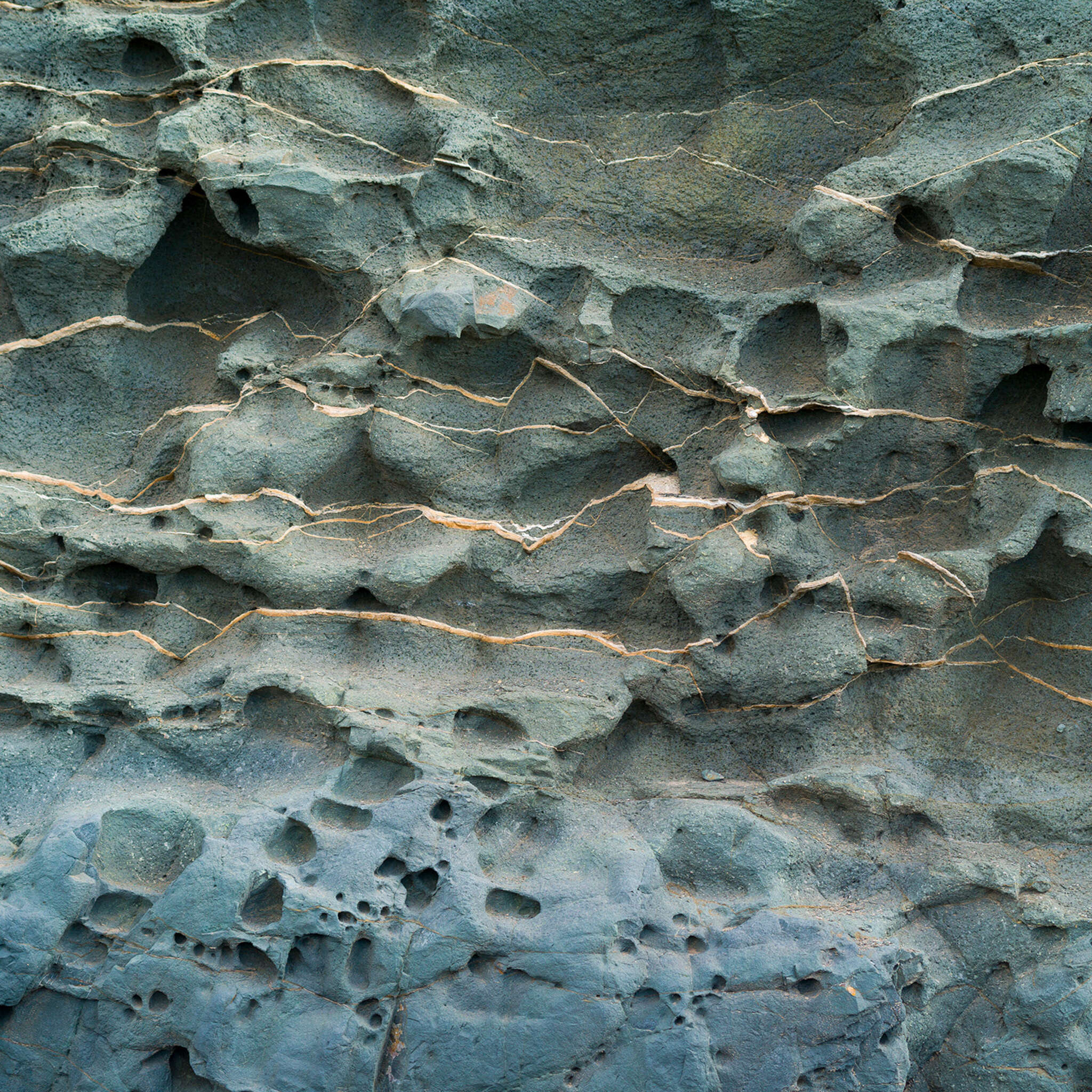 magicwalls photo wallpaper 363739