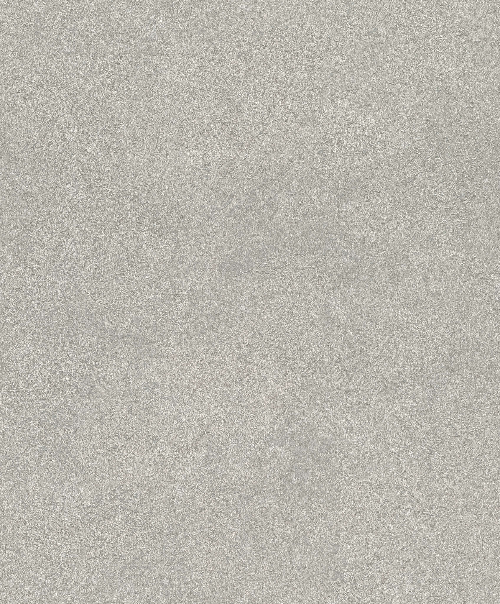 10-315141 Artikelscan 1 Hellgraue Tapete mit matter Metallstruktur, leicht oxidiert – urban, dezent und modern.
