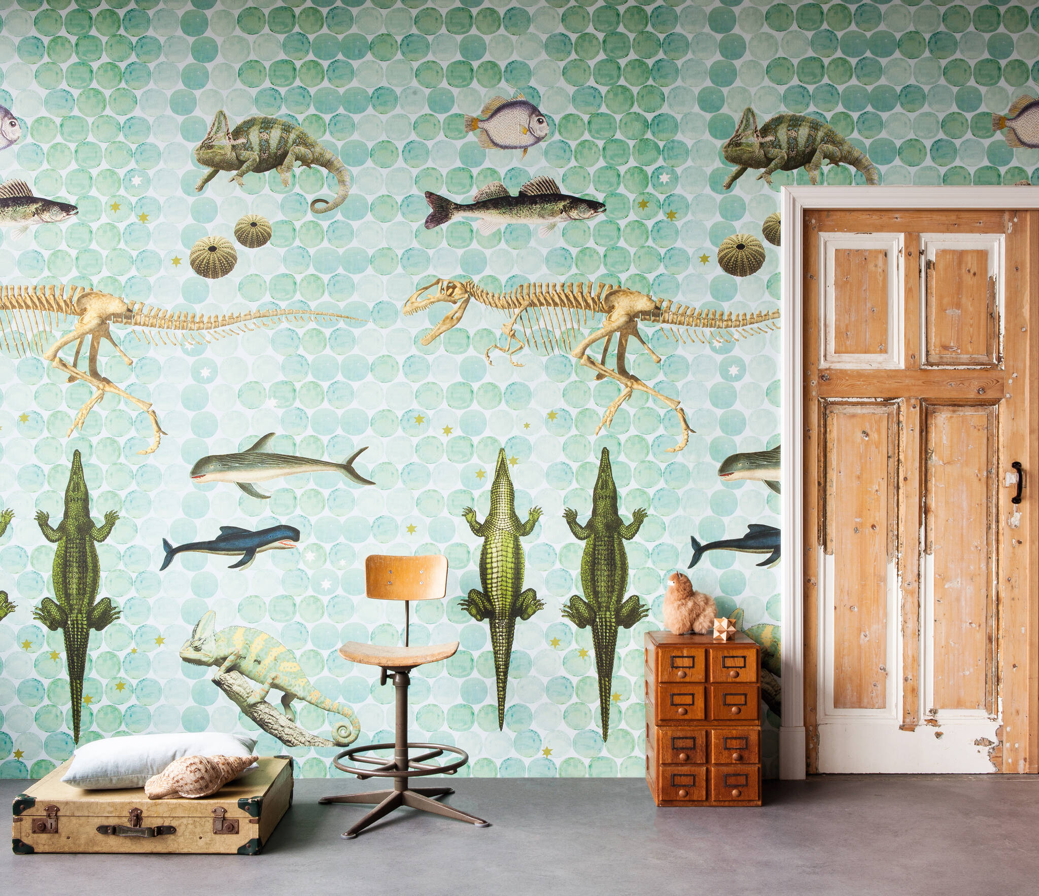 10-532081 Raumsituationen 1 Wall mural with dinosaurs and reptiles 532081
