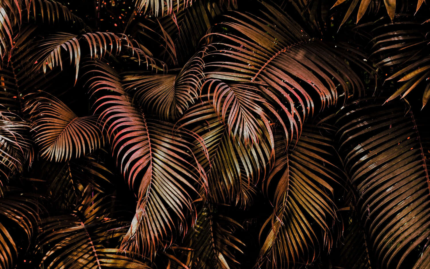 363135 - Fototapete - Rote Palmenblätter mit 3D-Effekt magicwalls photo wallpaper 363135