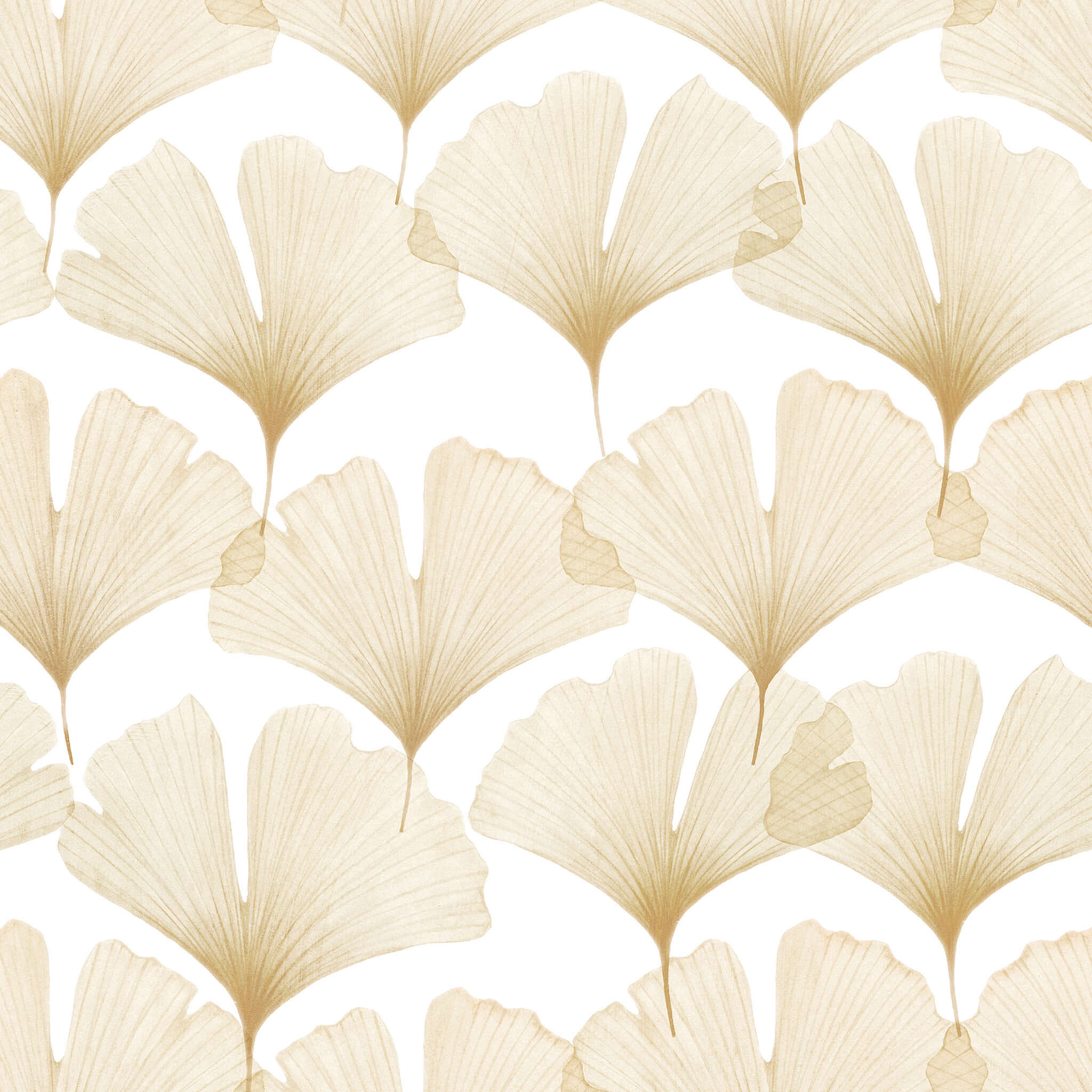 10-300195 D2C Vorschaubild 1