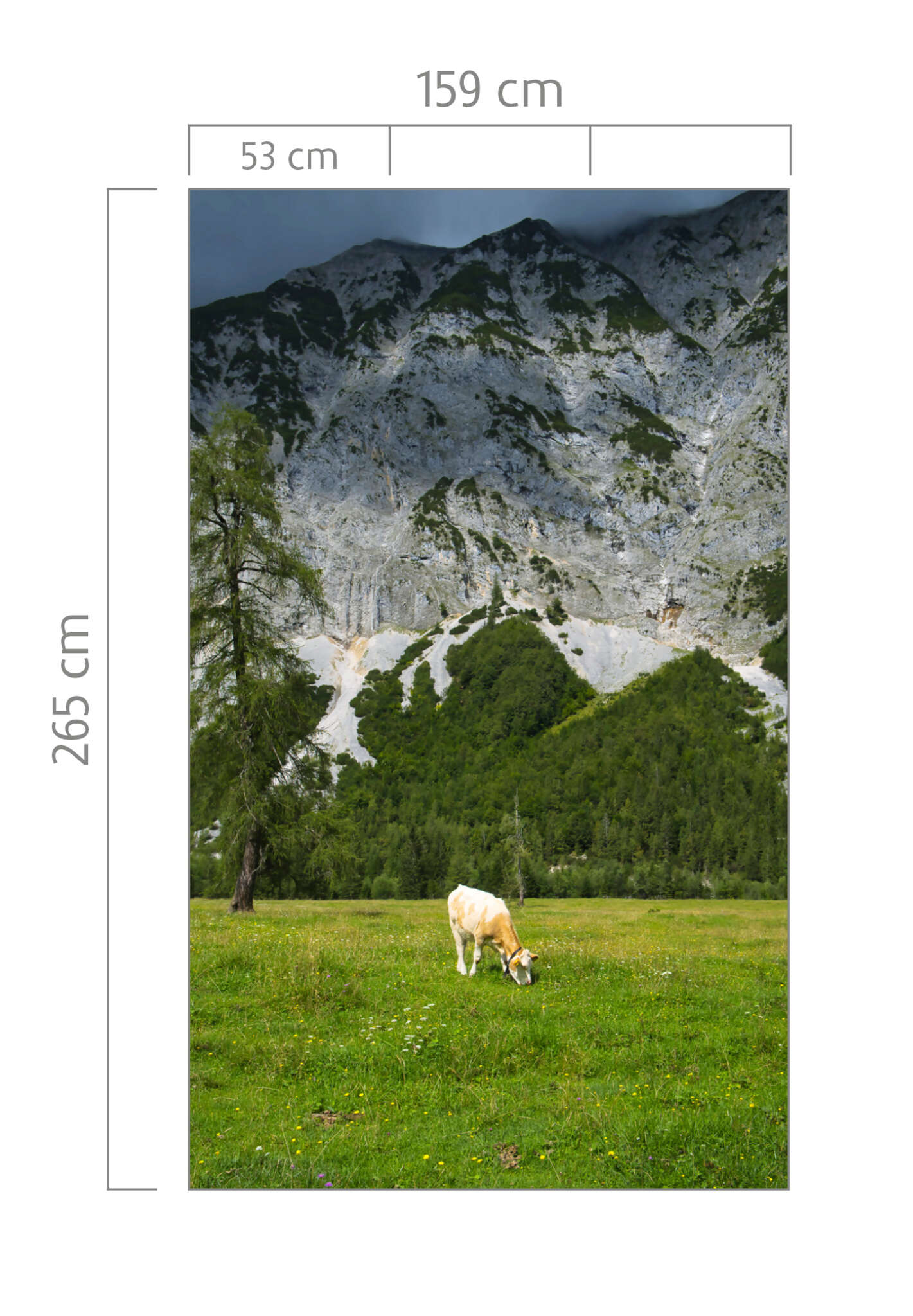 10-364637 Bildauschnitt 1