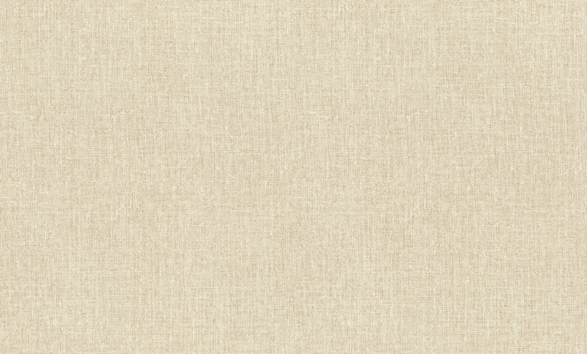 10-946024 Artikelscan 1 Vliestapete in Beige Studio Tissage 946024