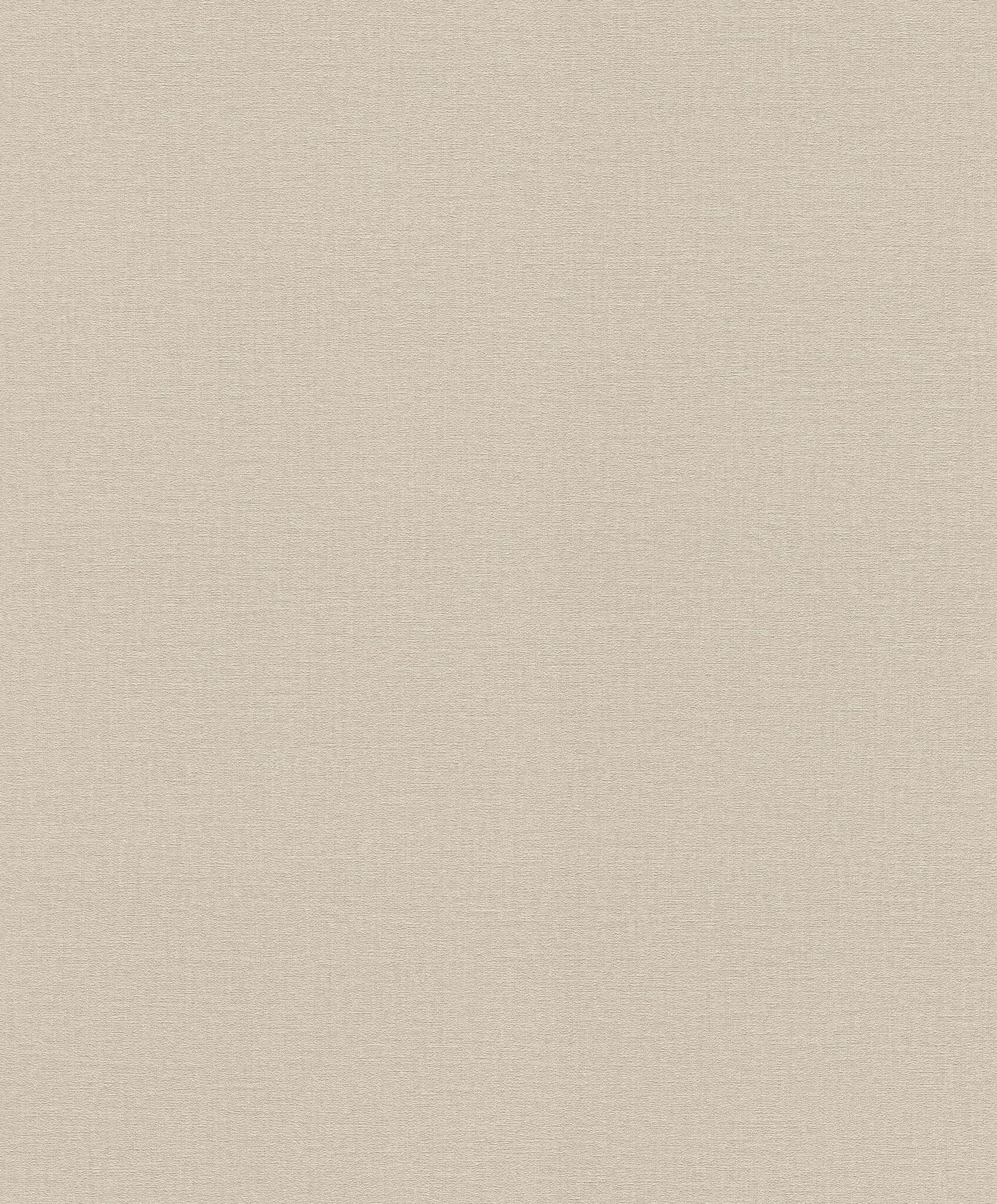 10-555851 Artikelscan 1 Plain wallpaper with linen texture