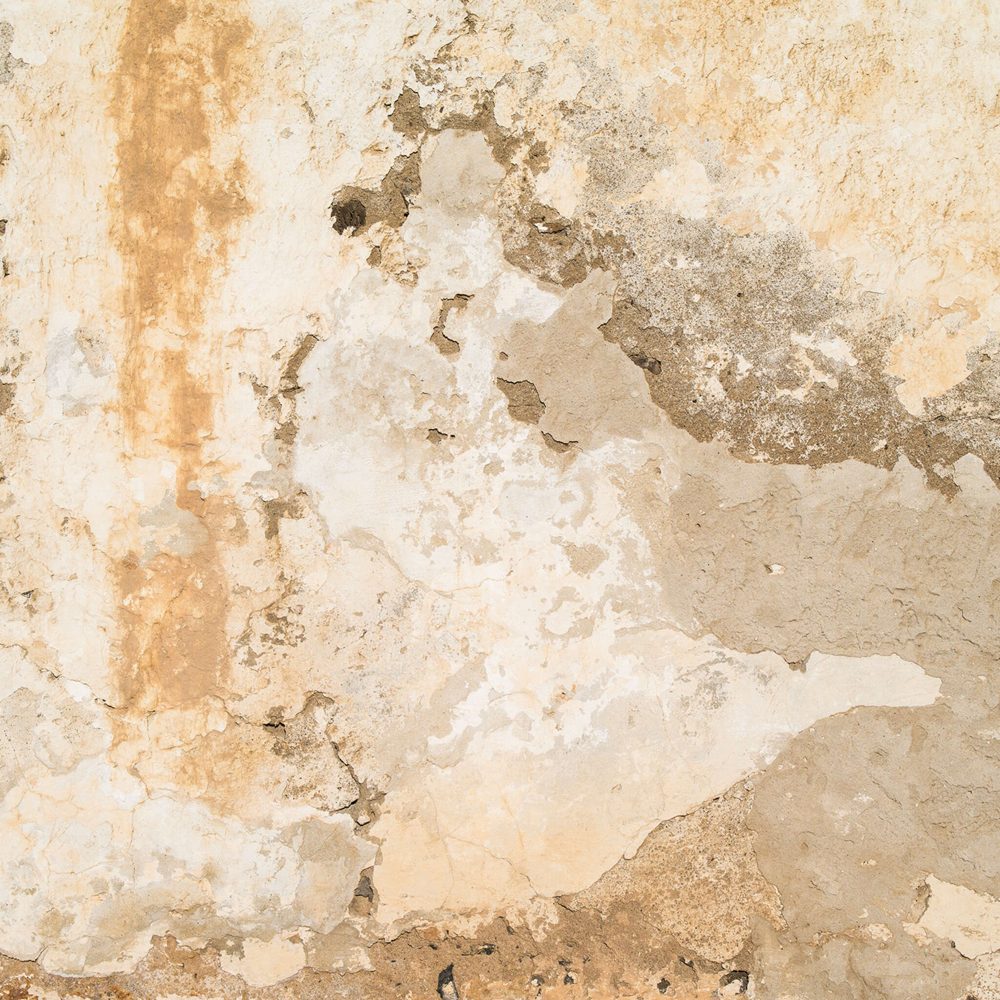 Young Artists photo wallpaper 101133