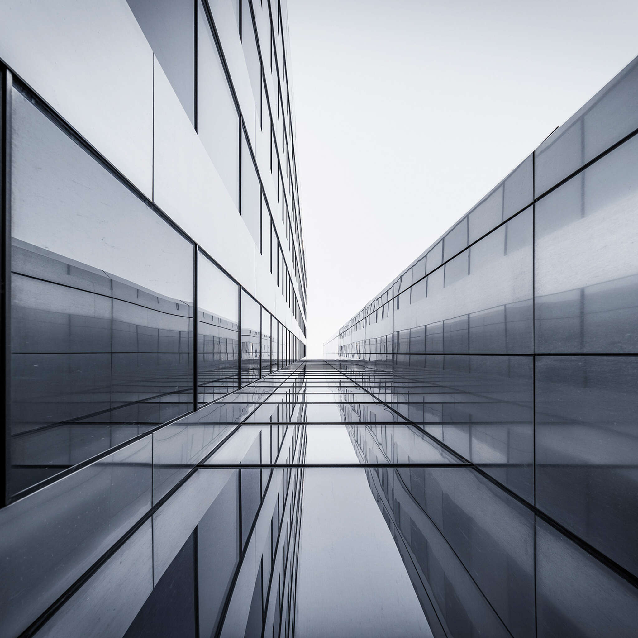 Young Artists photo wallpaper 101201