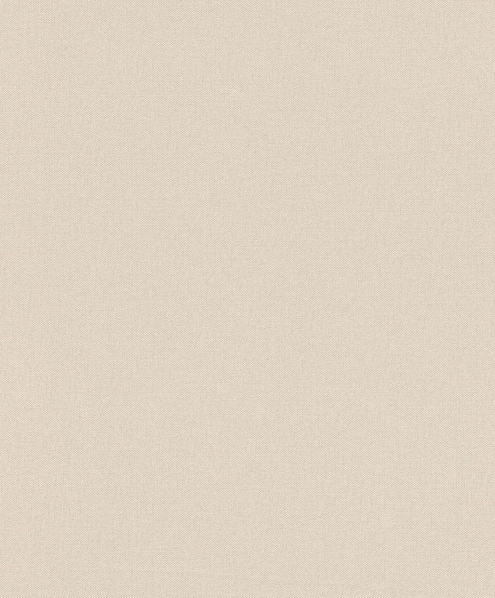 10-633771 Artikelscan 1 Single-colour wallpaper with a grainy textile texture