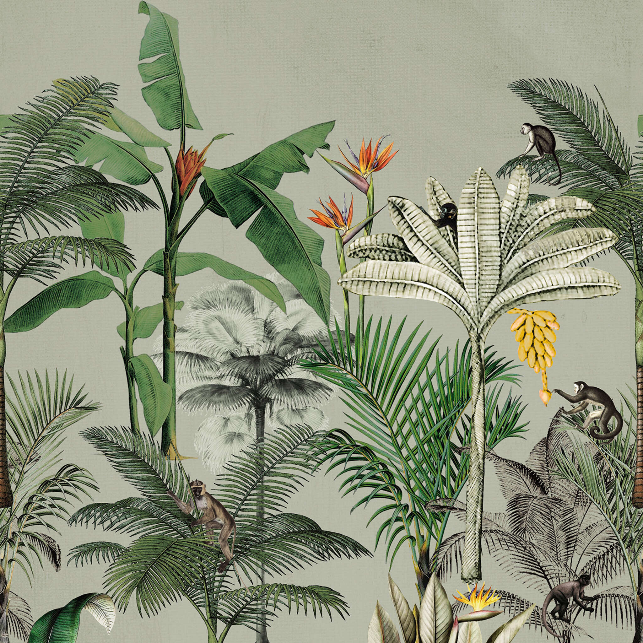 Club botanique wall mural 539196