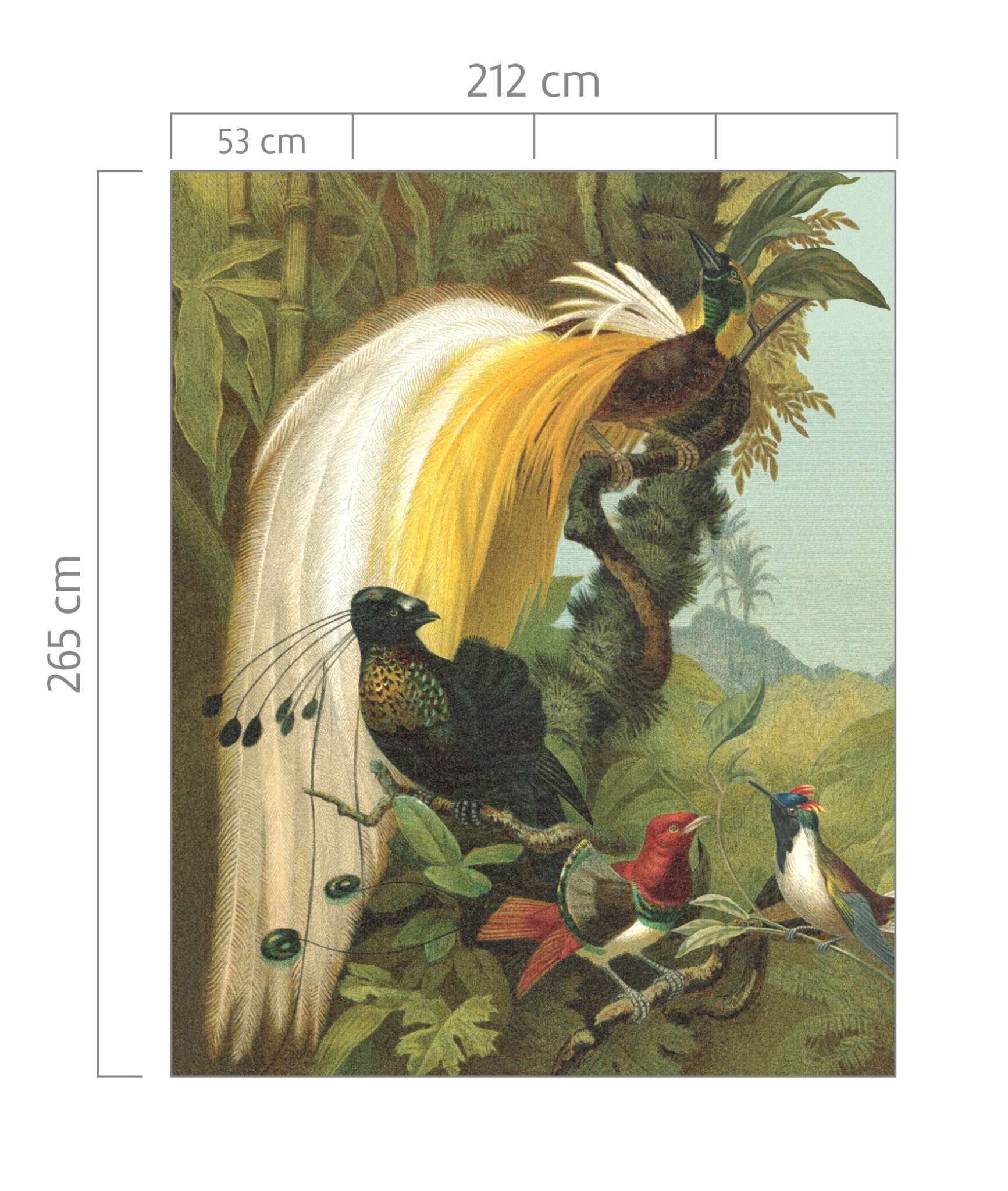 10-543797 Bildauschnitt 1