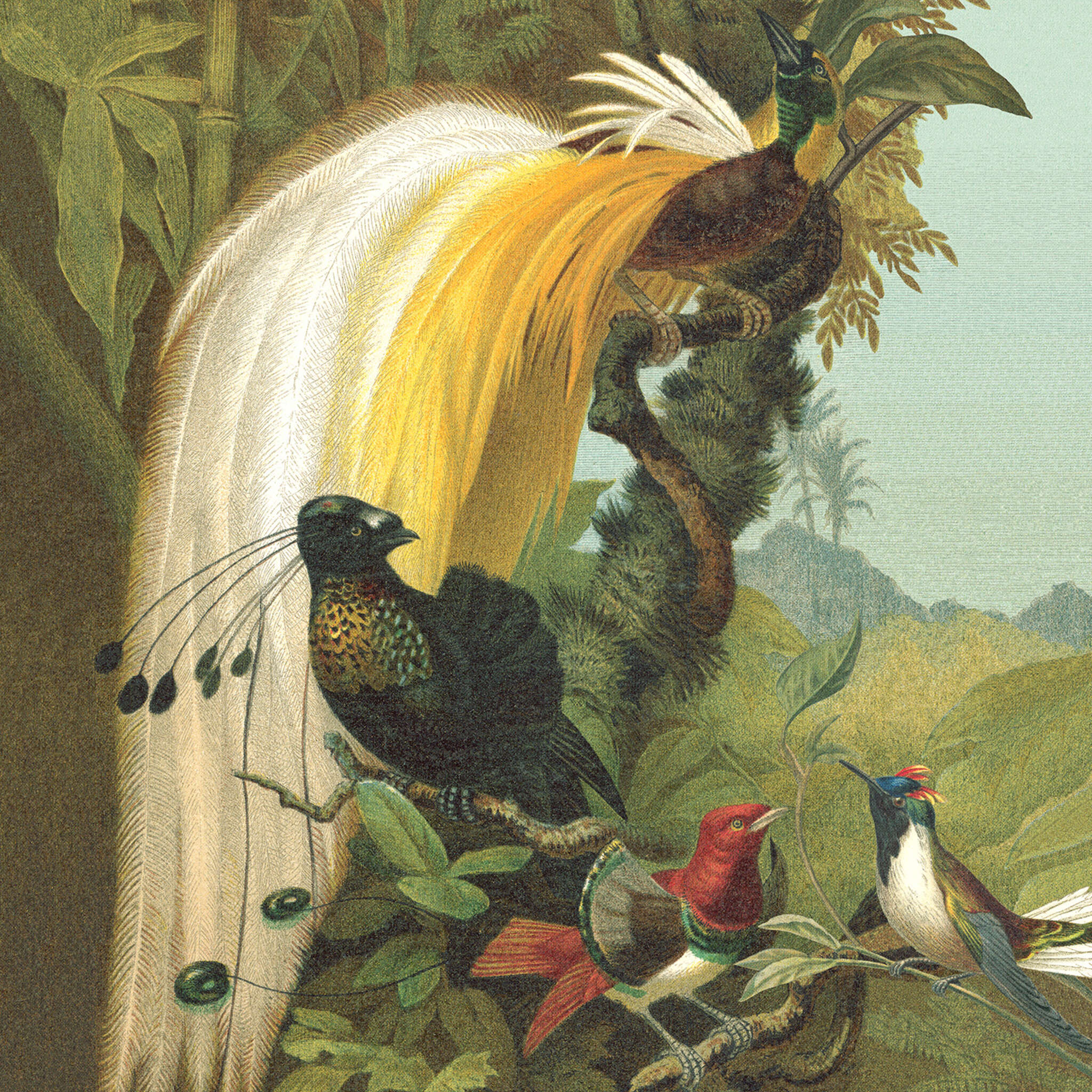 Curiosity wall mural 543780