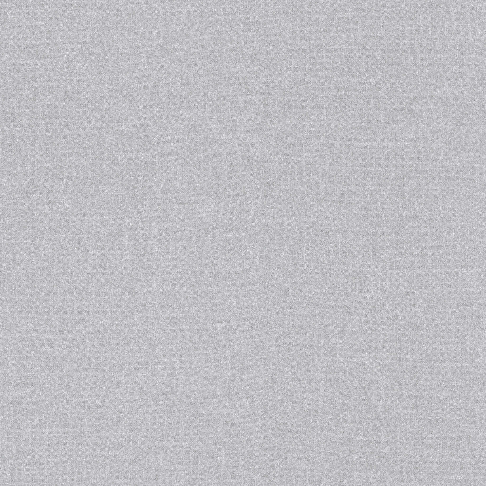 10-252842 Artikelscan 1 Understated grey wallpaper with a smooth feel