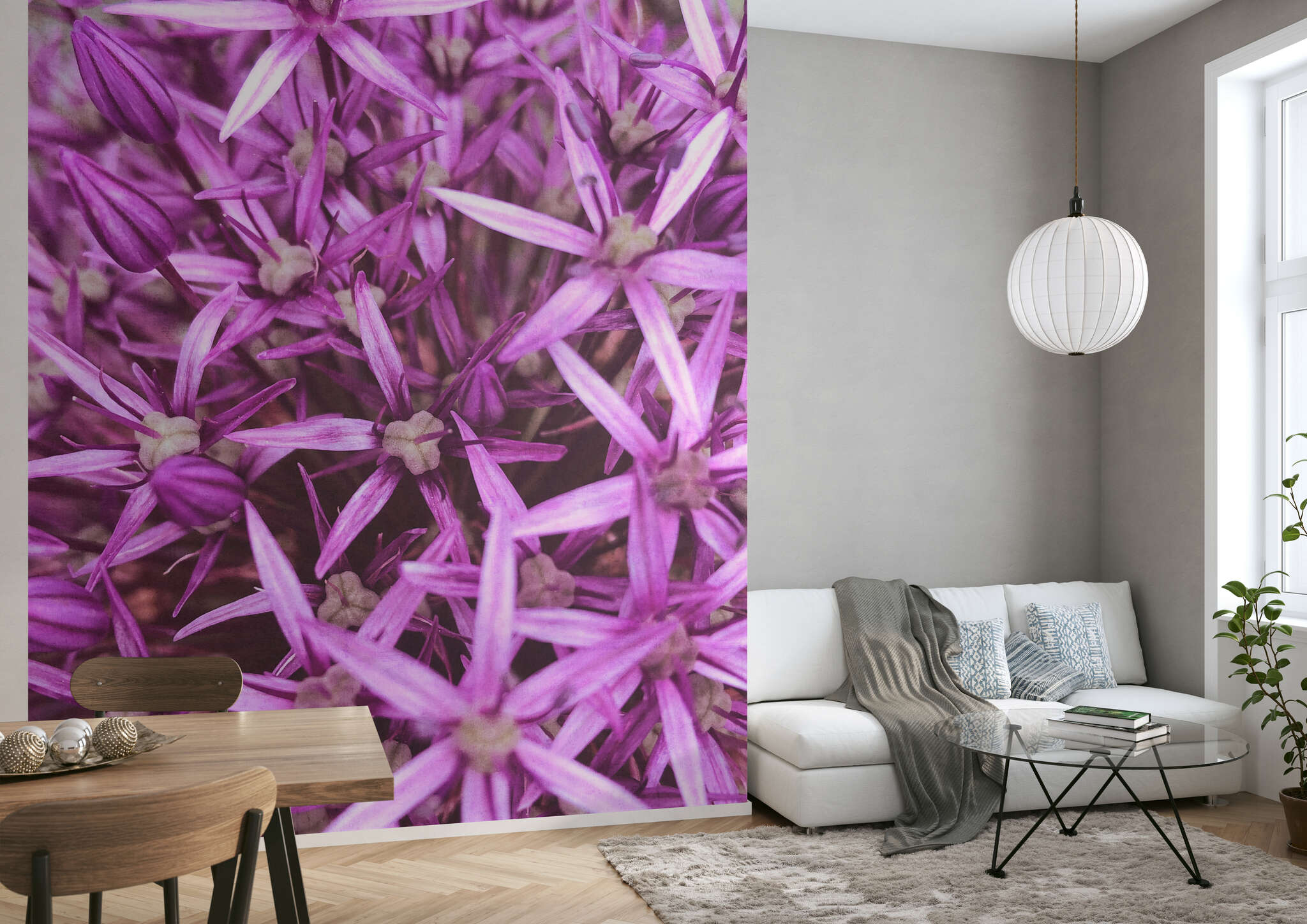 Wohnzimmer mit 364125 - Fototapete - Makro-Aufnahme der Mitte eines Zierlauch-Kopfs magicwalls photo wallpaper 364125