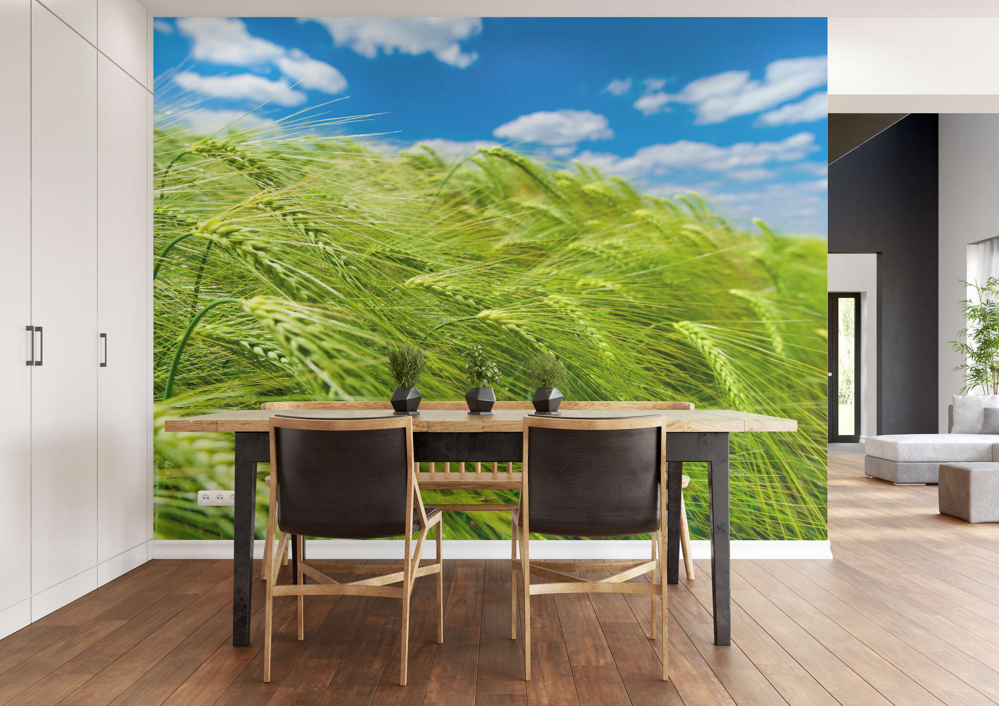 Esszimmer mit 363746 - Fototapete - Grasgrüne Ähren leuchten mit weißblauem Himmel um die Wette magicwalls Fototapete 363746
