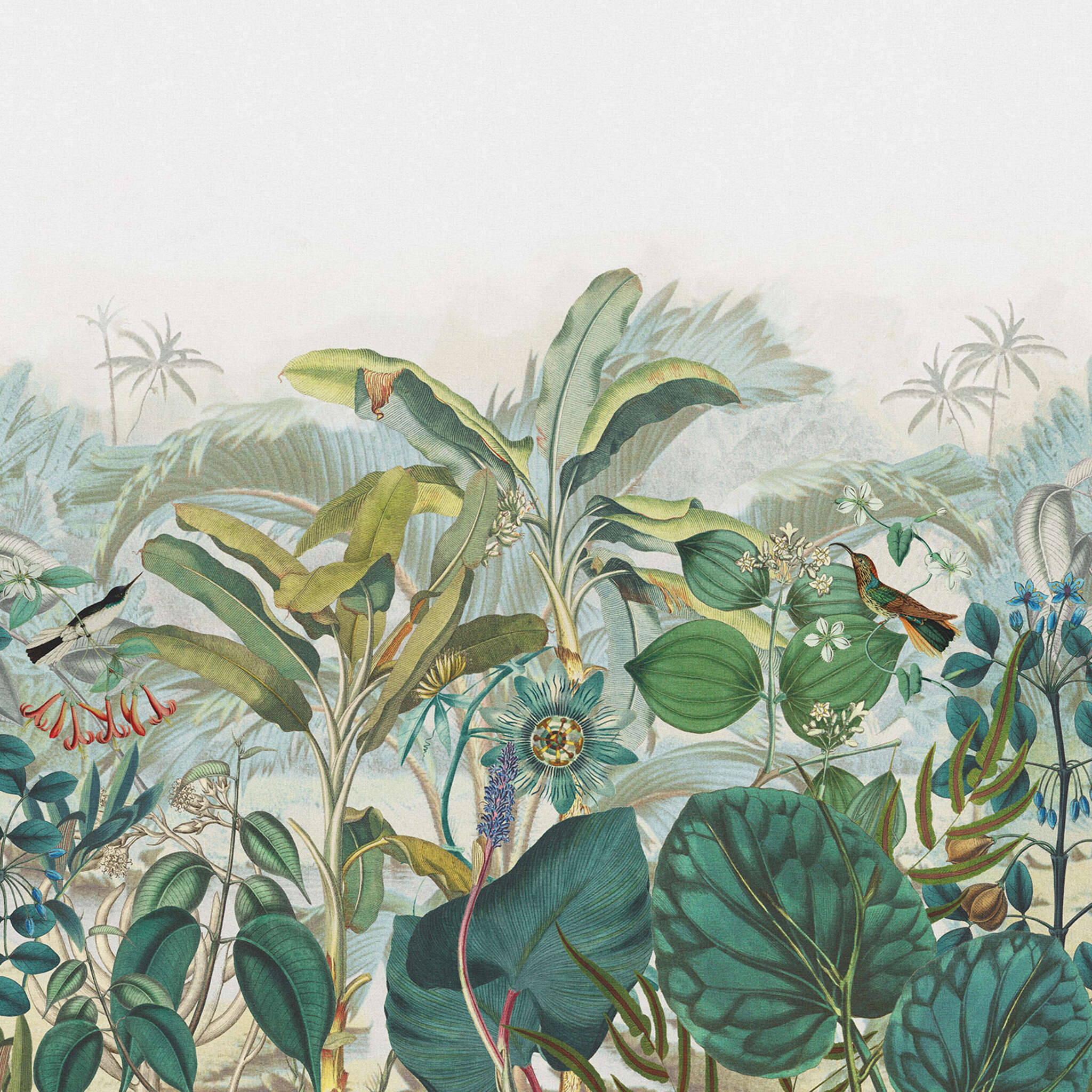 Tropical plants wall mural in green Curiosity 543643