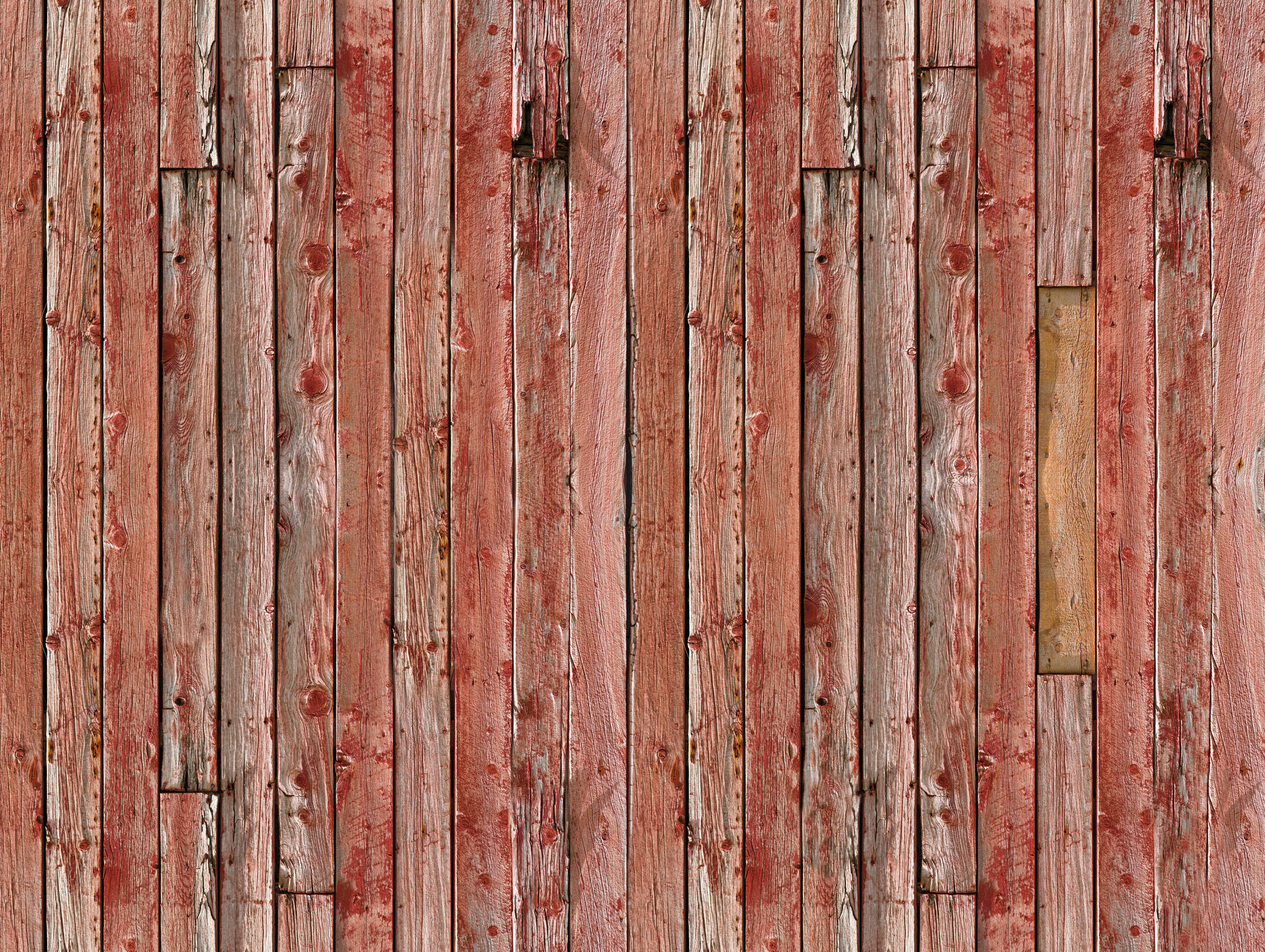 10-100372 Artikelscan 1 Young Artists photo wallpaper wood look 100372
