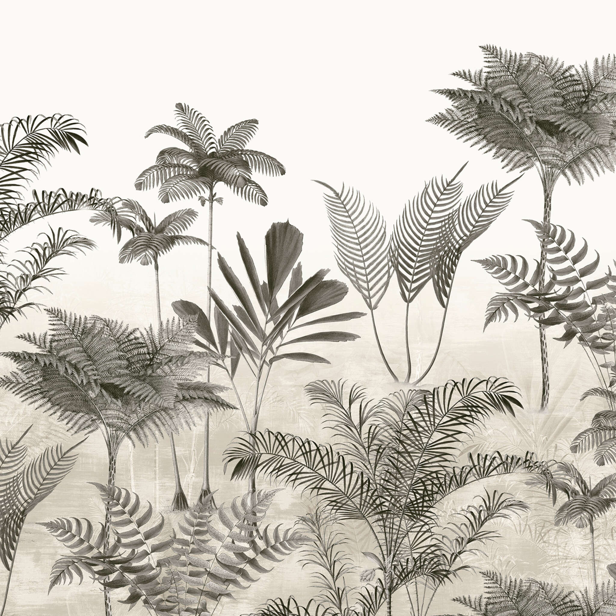 Lirico photo wallpaper 556193