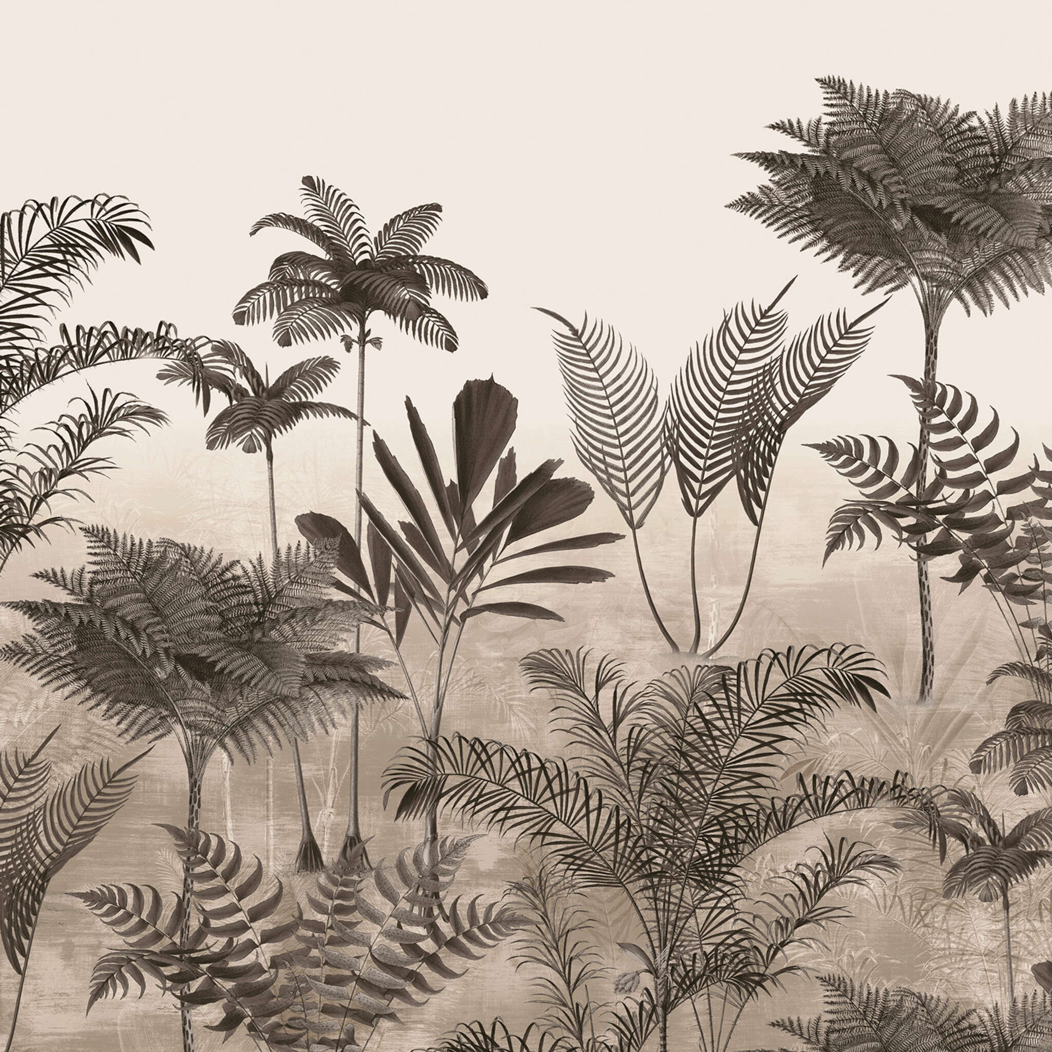 Lirico photo wallpaper 556261