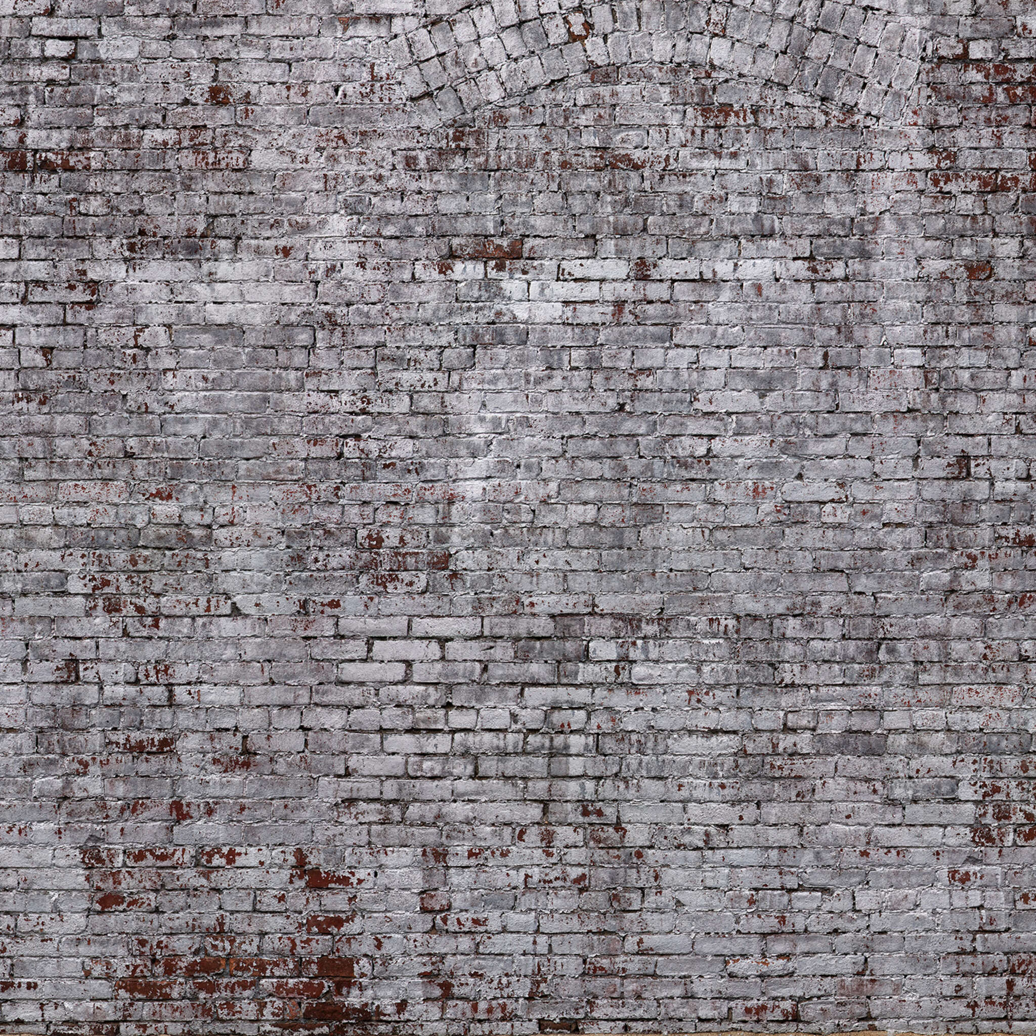 10-940954 D2C Vorschaubild 1