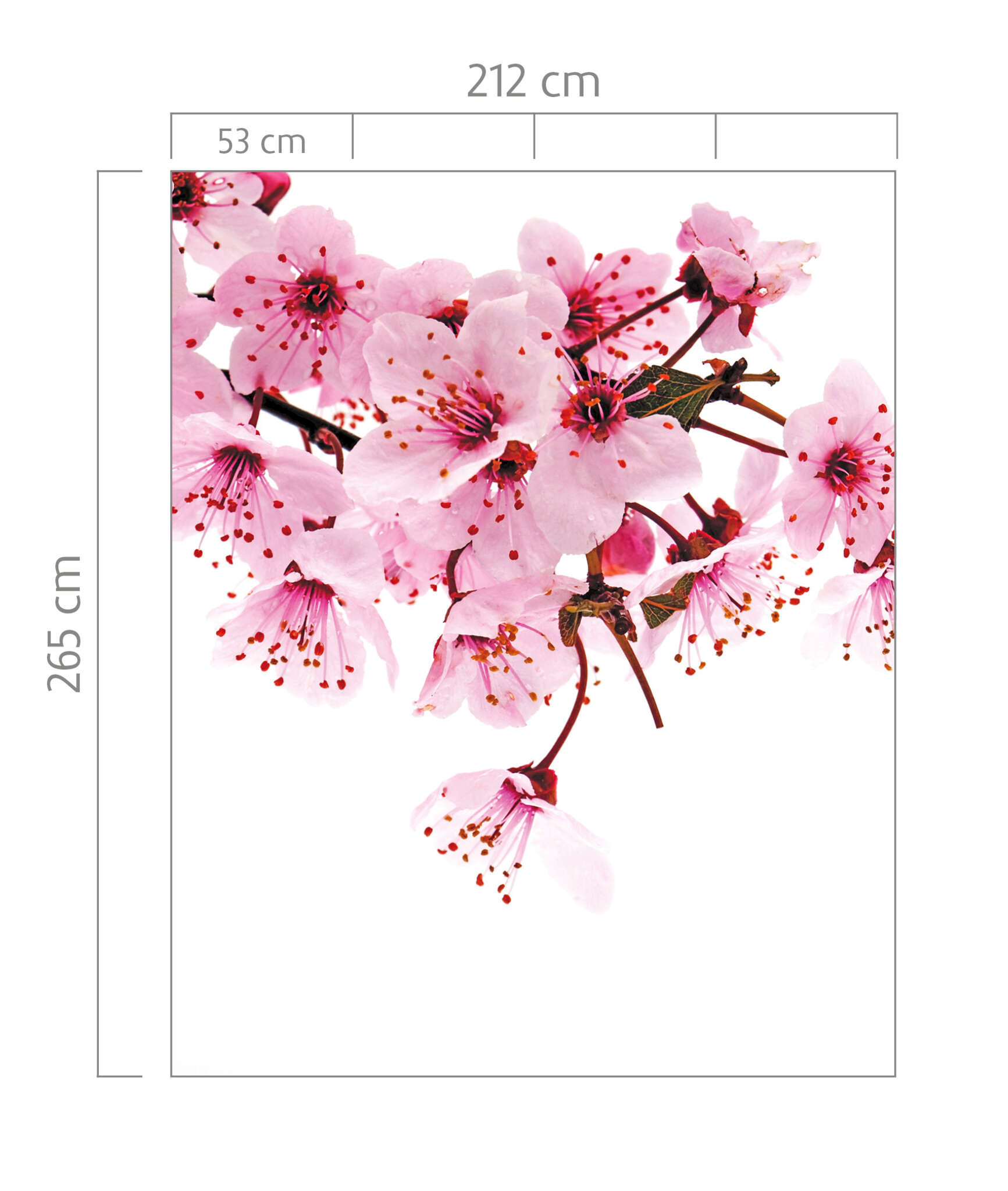 10-890600 Bildauschnitt 1 Cherry blossom wall mural in pink 890600