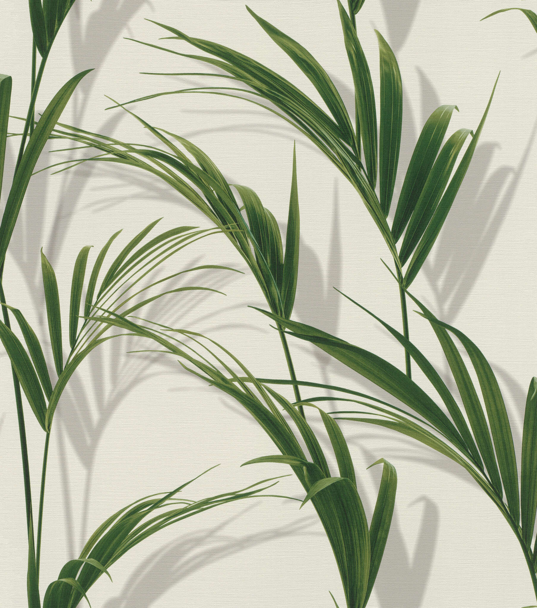 10-465112 Artikelscan 1 Large palm leaves in fresh green on a white background – botanical look with a slight 3D effect.