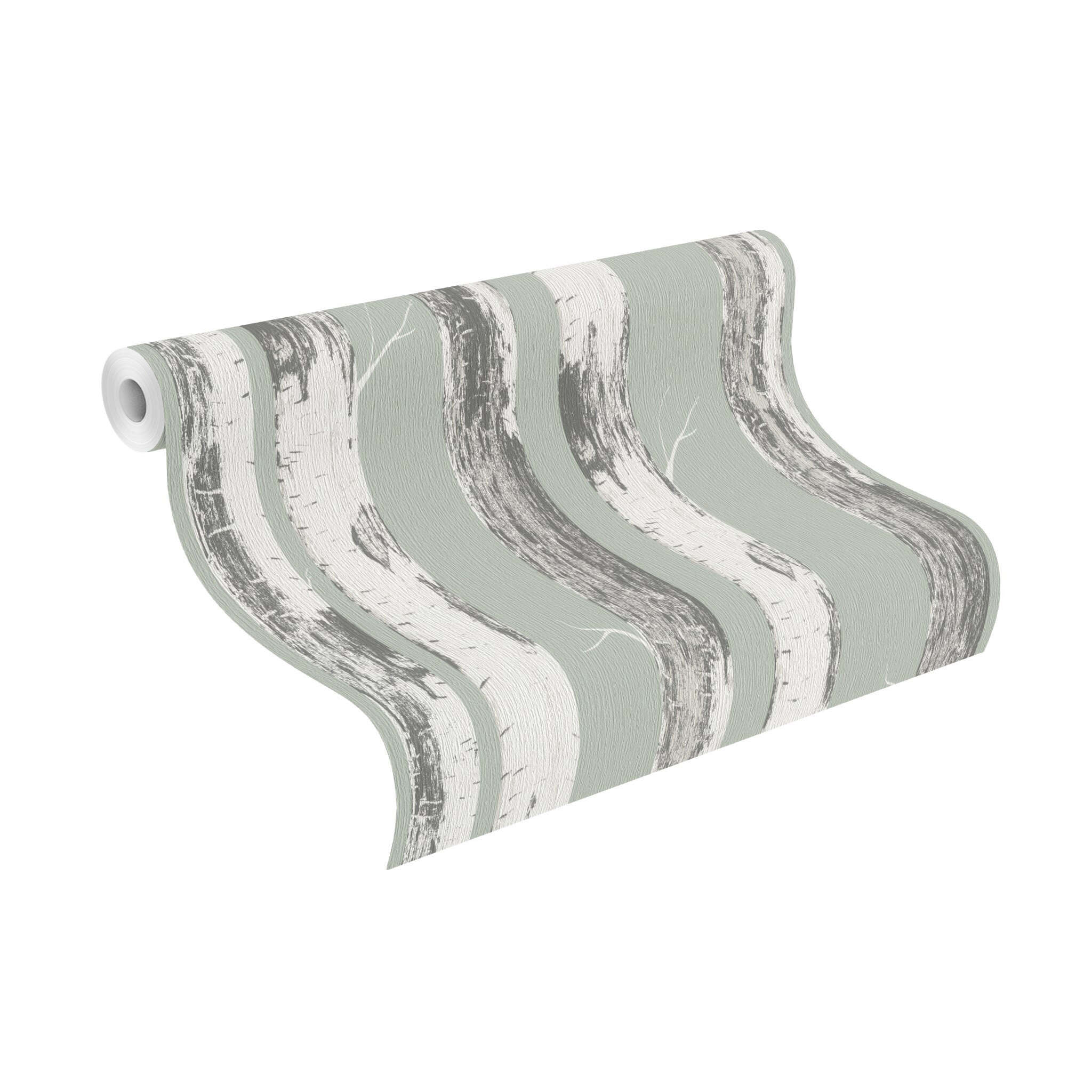 10-285413 Rolle abgerollt 1 Unrolled wallpaper roll with Wallpaper with vertical birch trunks in white and grey on a sage green background for a natural interior design