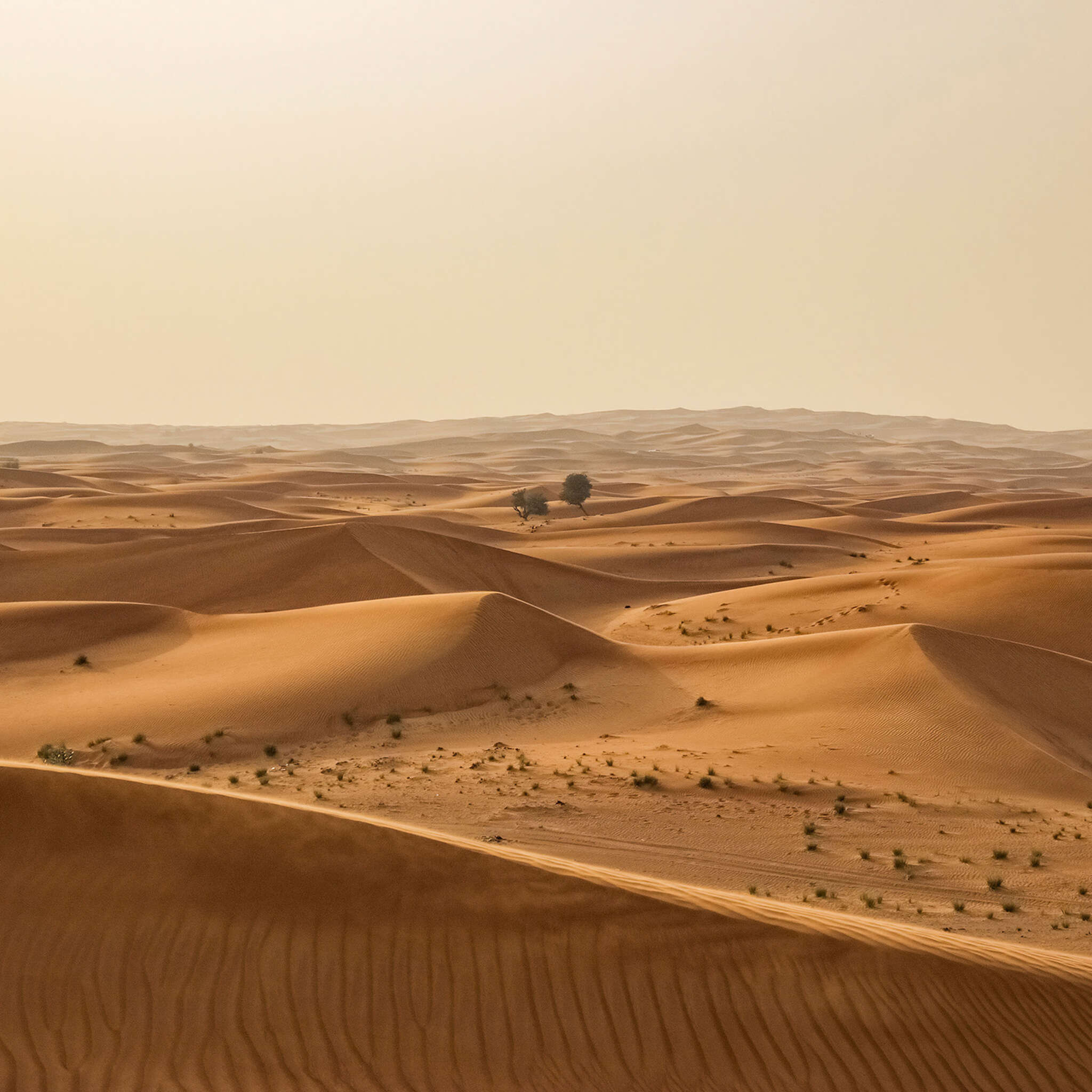 Fototapete Sahara 862430 Fototapete Sahara in Beige 862430