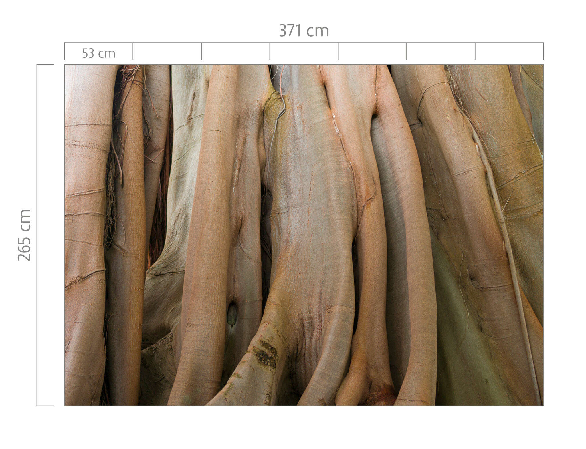 10-363791 Bildauschnitt 1