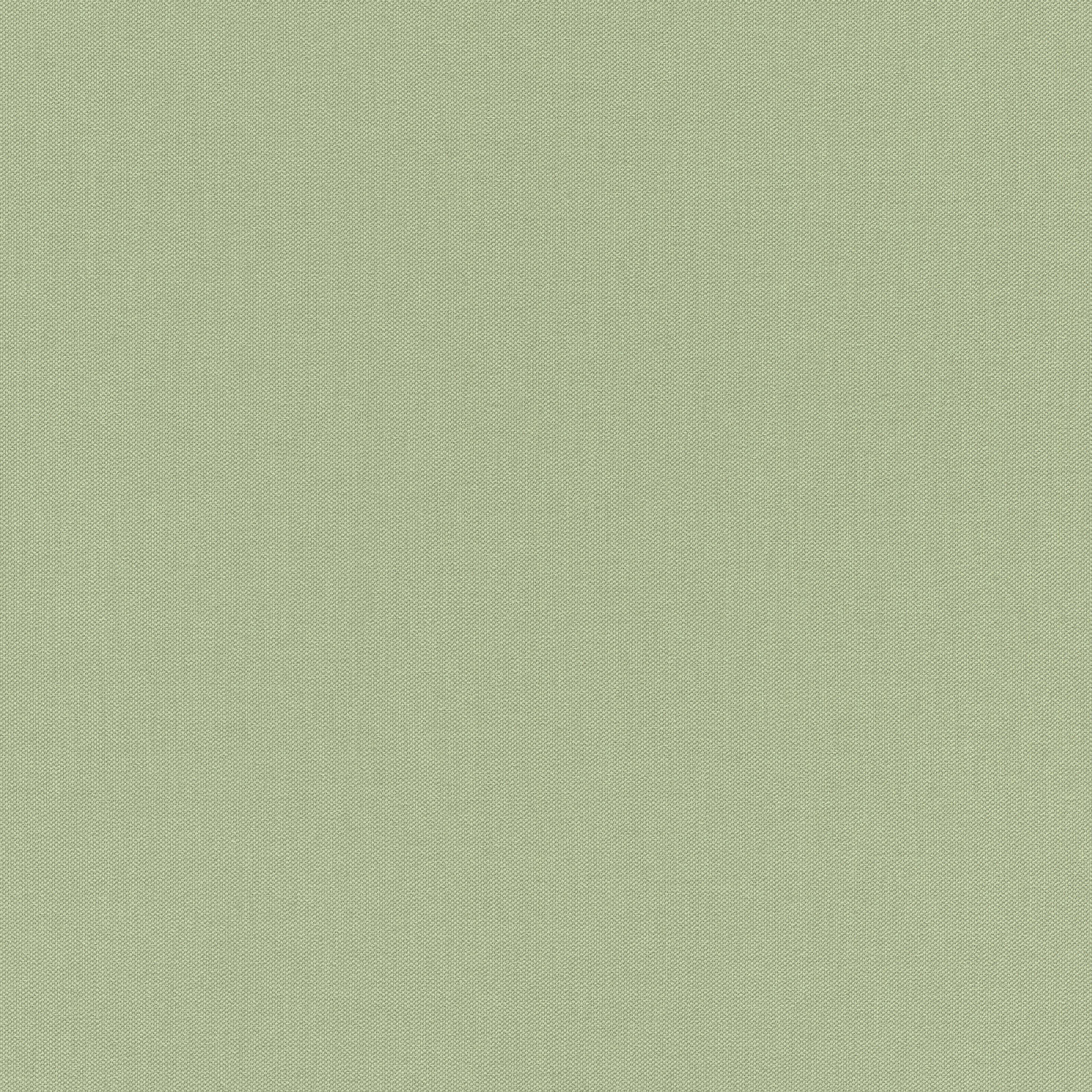 10-423938 Artikelscan 1 Single-colour non-woven wallpaper in pale green with a textile-like surface.
