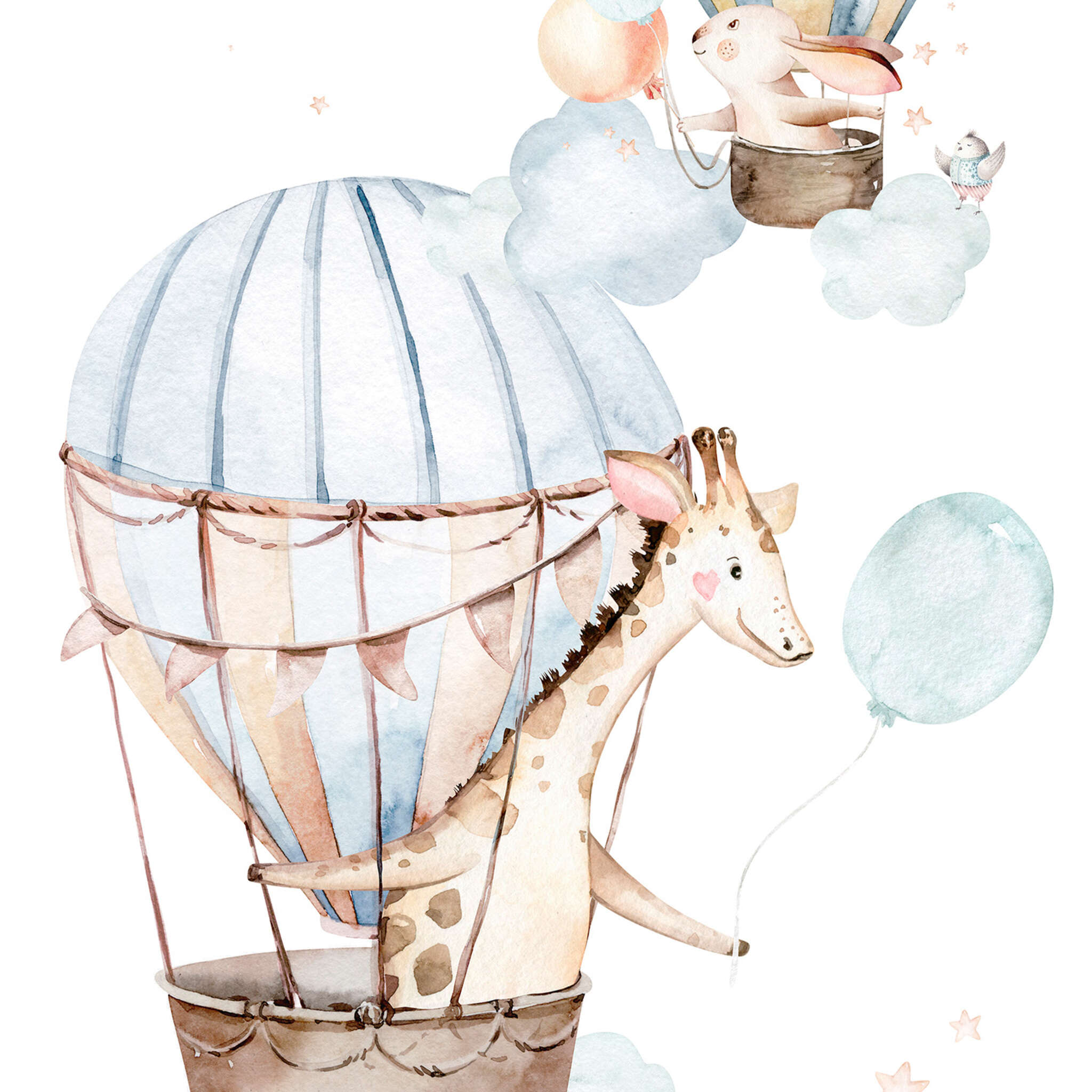 10-364910 D2C Vorschaubild 1