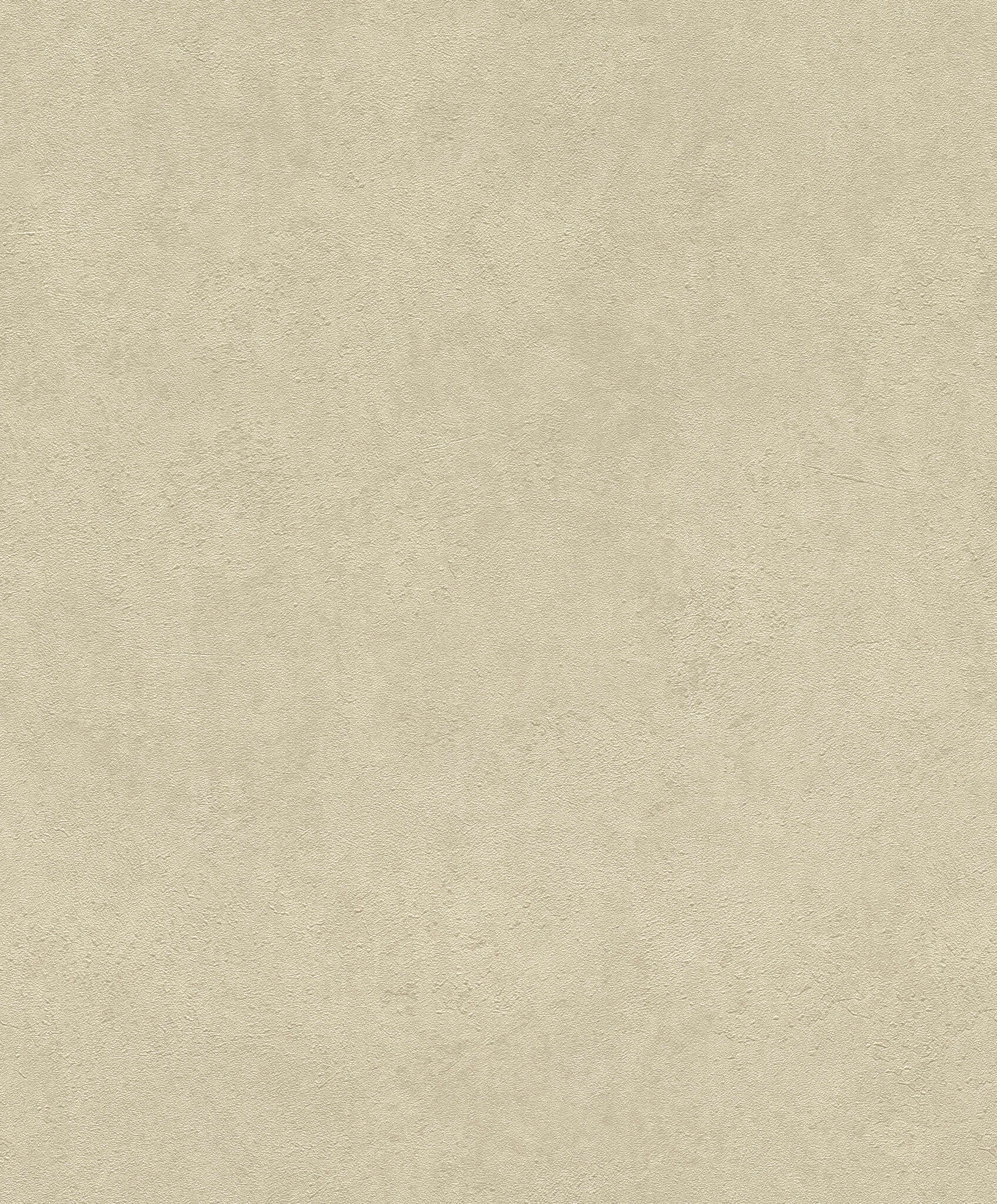 10-818567 Artikelscan 1