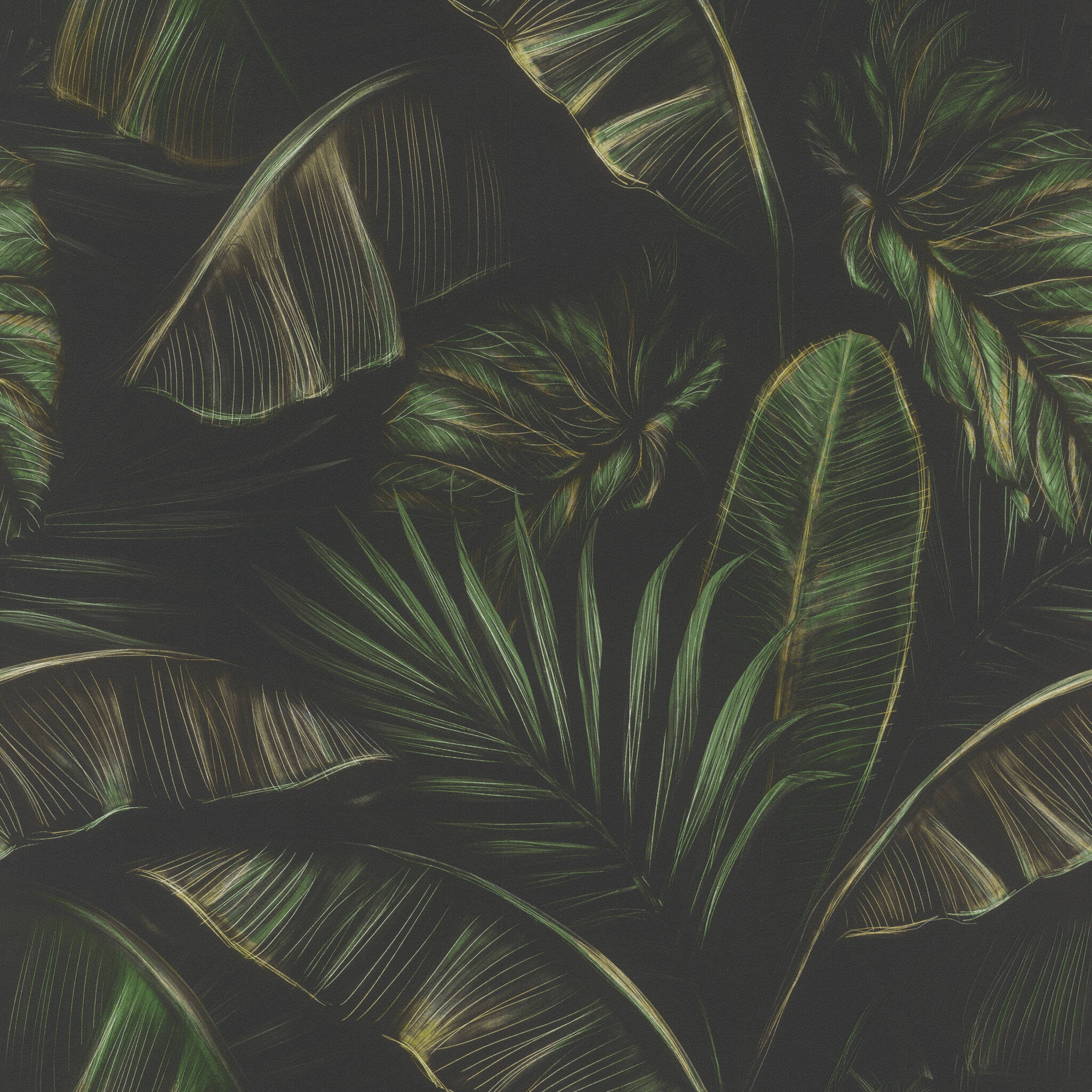 10-286588 Artikelscan 1 Papier peint expressif avec de grandes feuilles de bananier vertes sur fond sombre dans un style jungle