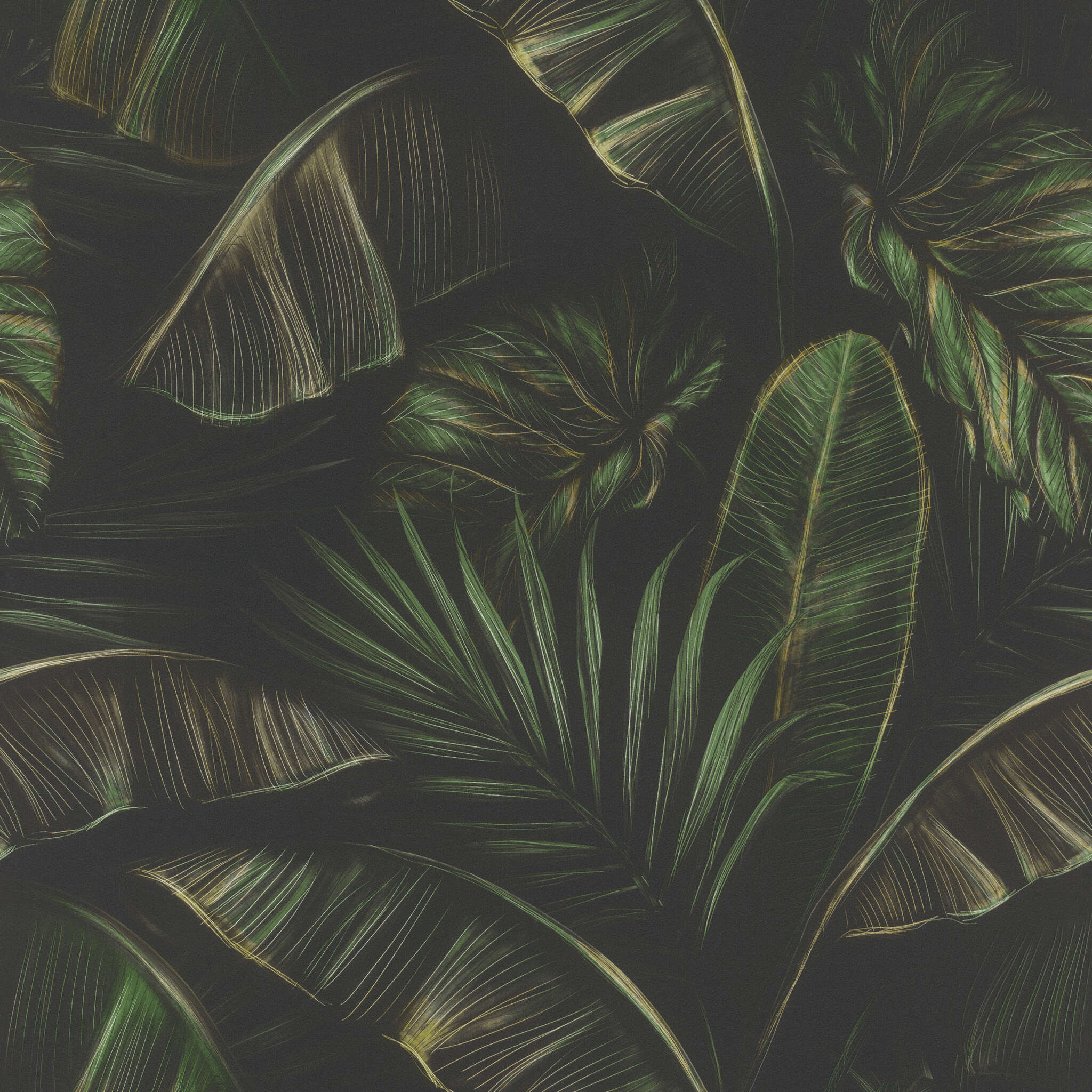 10-286588 Artikelscan 1 Expressive wallpaper with large green banana leaves on a dark background in a jungle style