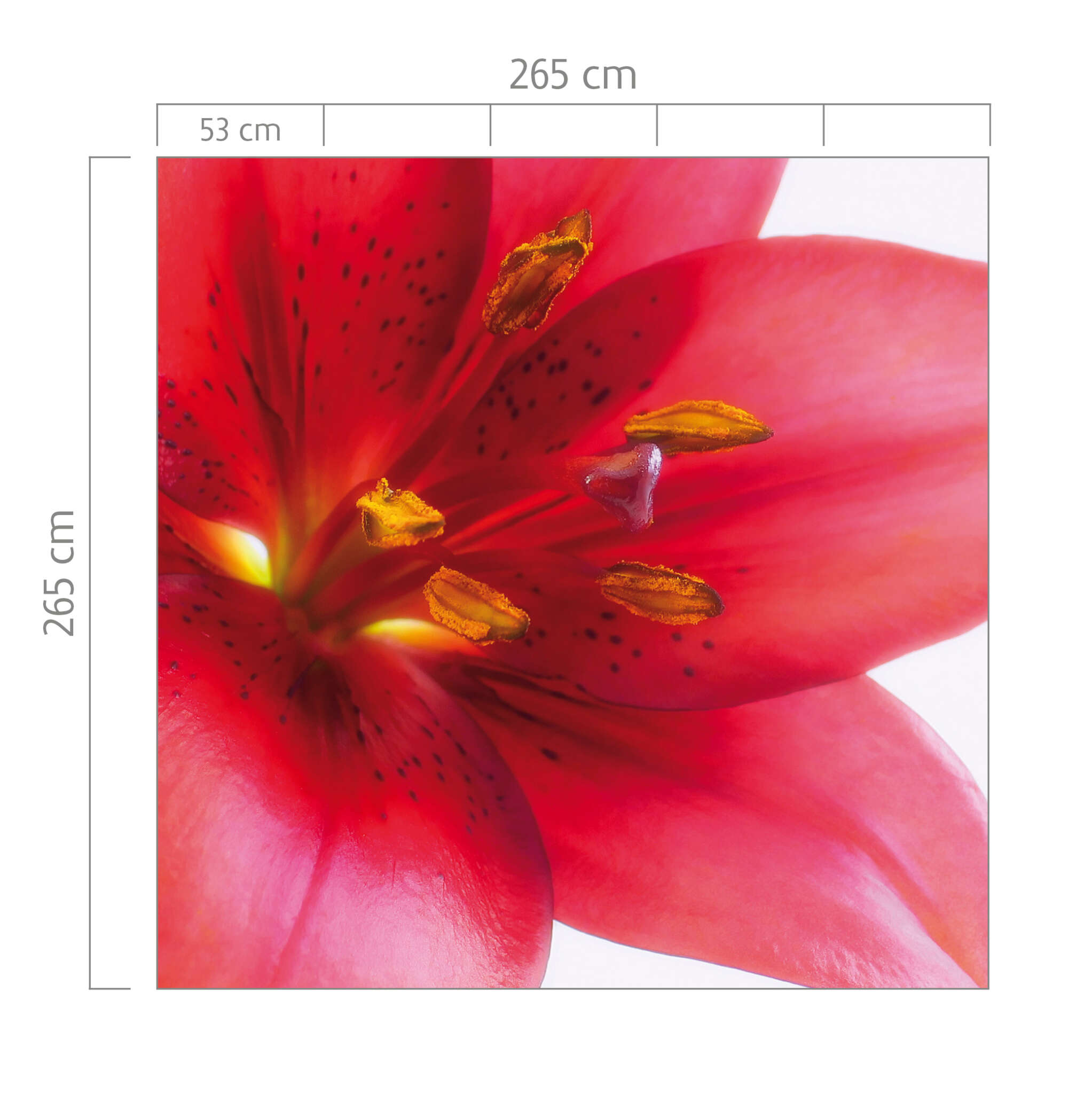 10-890051 Bildauschnitt 1 Flower wall mural in red 890051