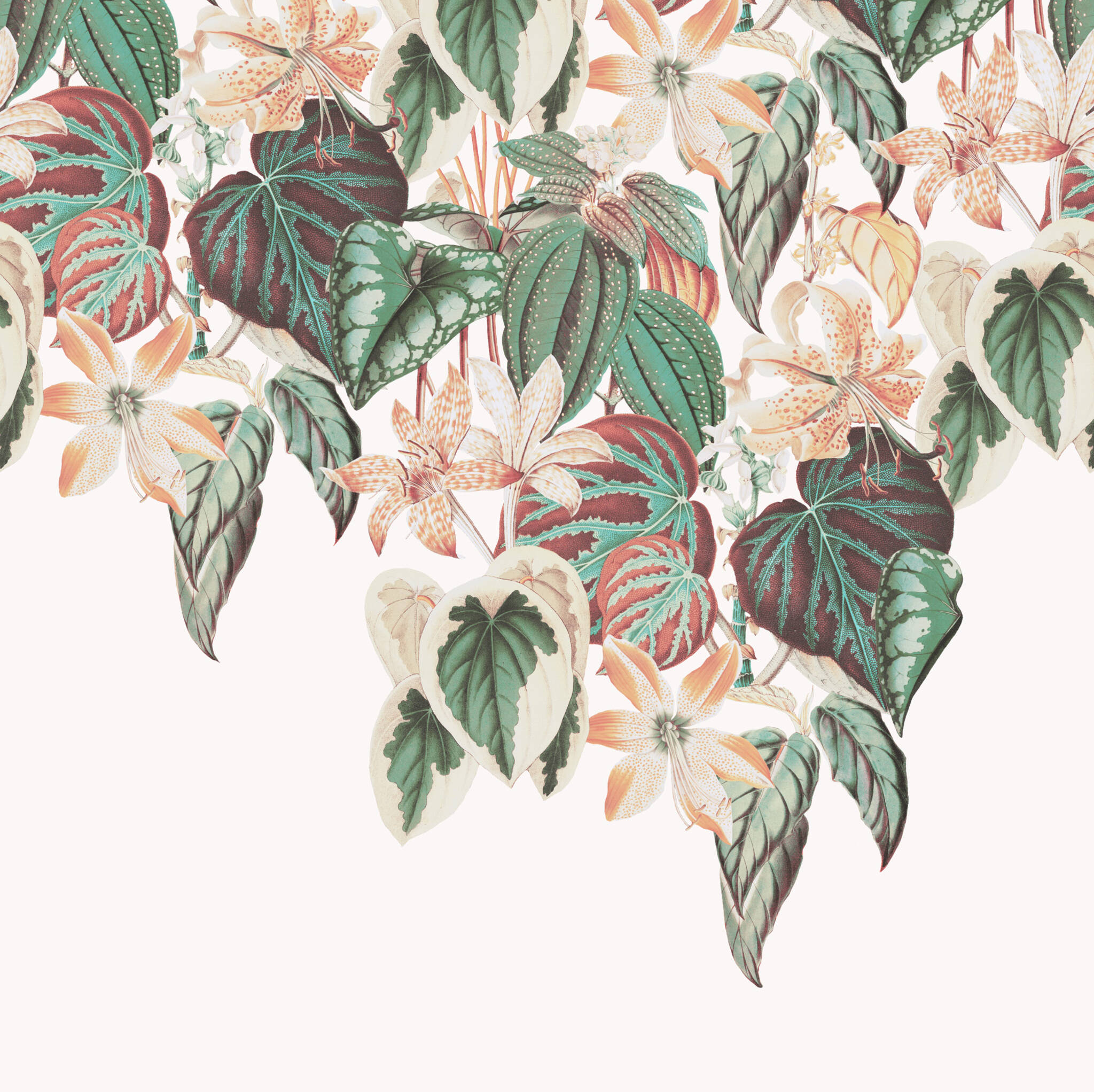 10-590036 Artikelscan 1 magicwalls photo wallpaper with flower tendrils 590036