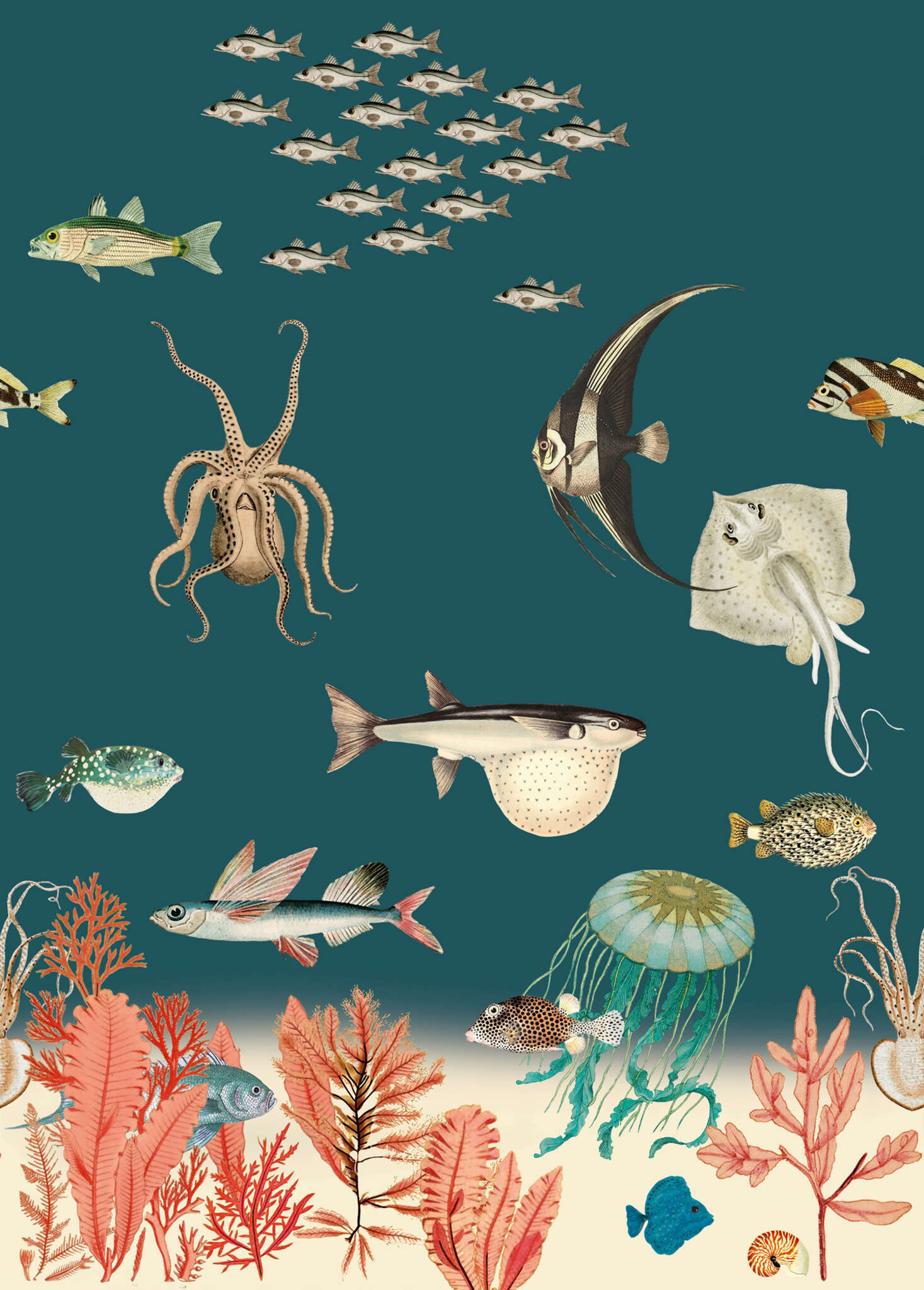 10-557633 Artikelscan 1 Onszelf Stories photo wallpaper fish 557633