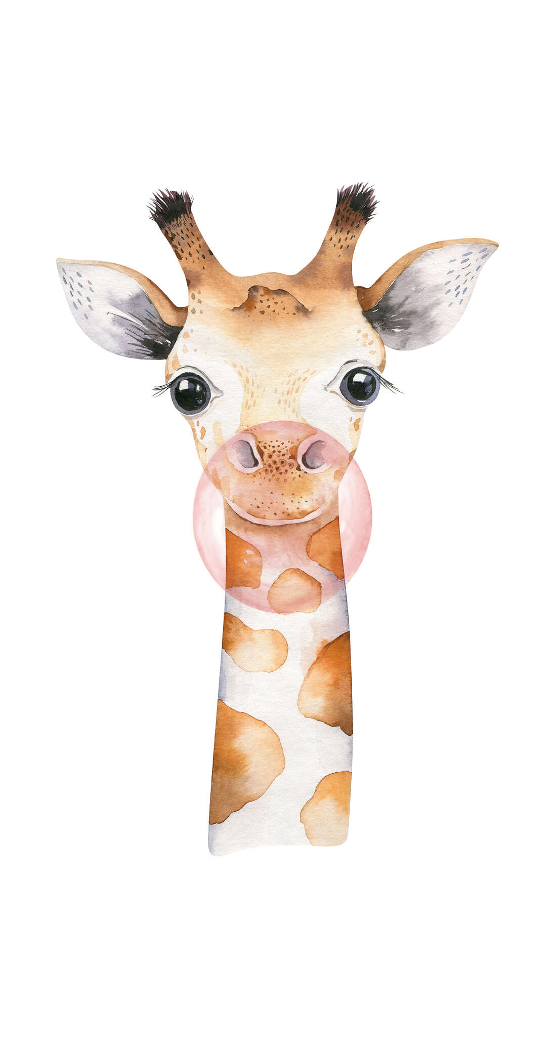 253306 - Wandbild - Fein gezeichneter Giraffenkopf Bambino XIX Giraffe wall mural 253306