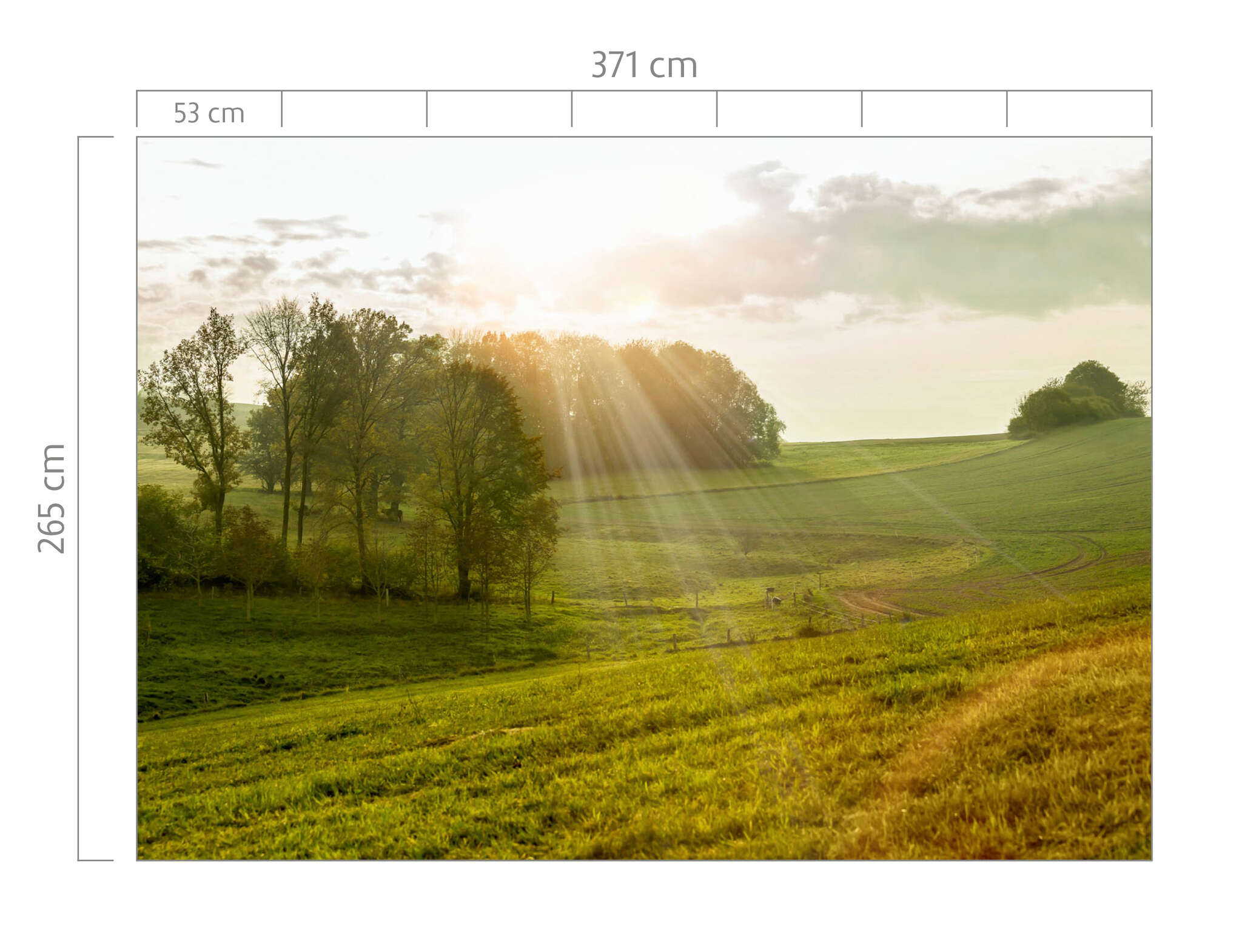 10-363432 Bildauschnitt 1 magicwalls Fototapete 363432
