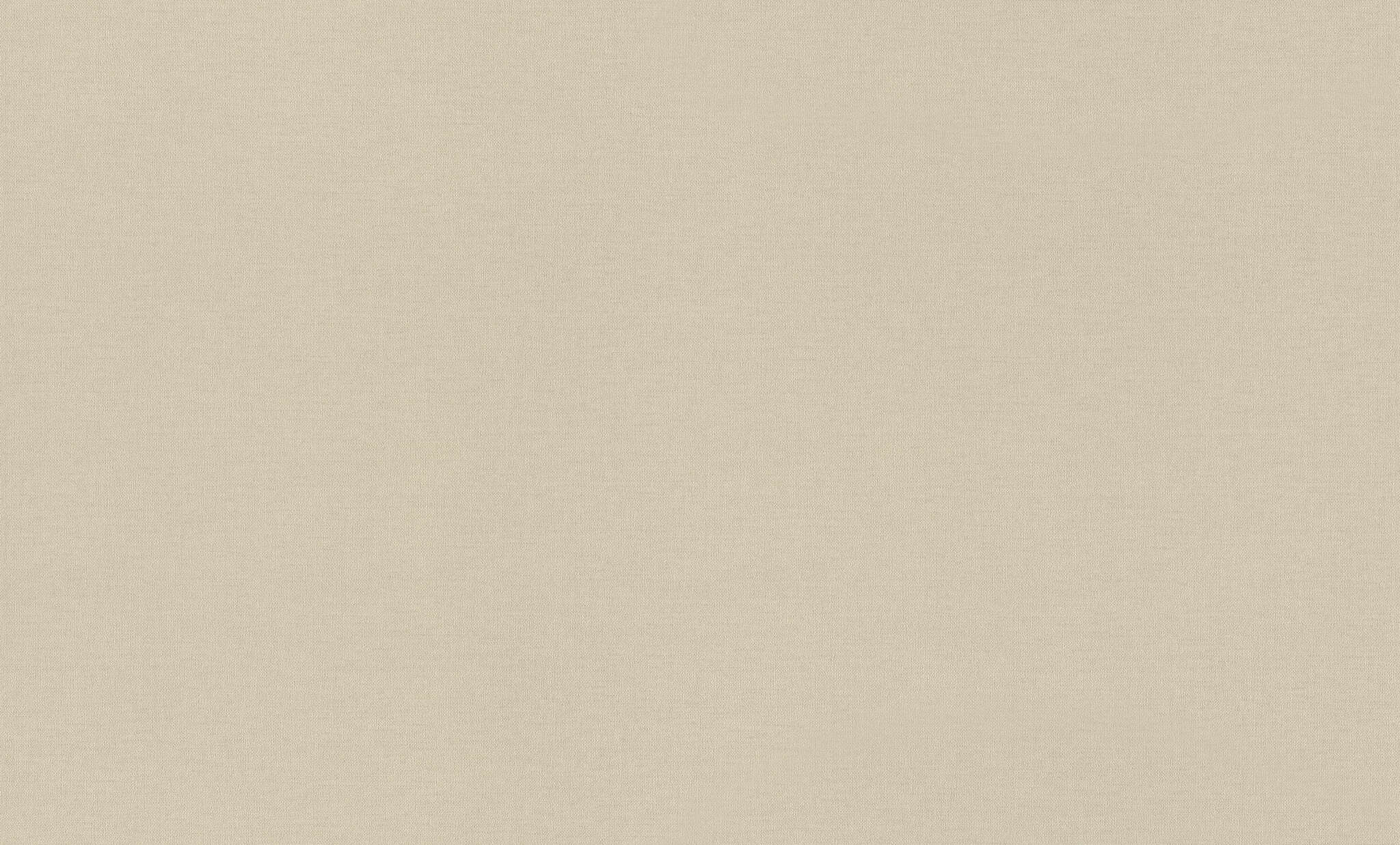 10-971378 Artikelscan 1 Vliestapete in Beige Wall Textures XL Vol. 4 971378