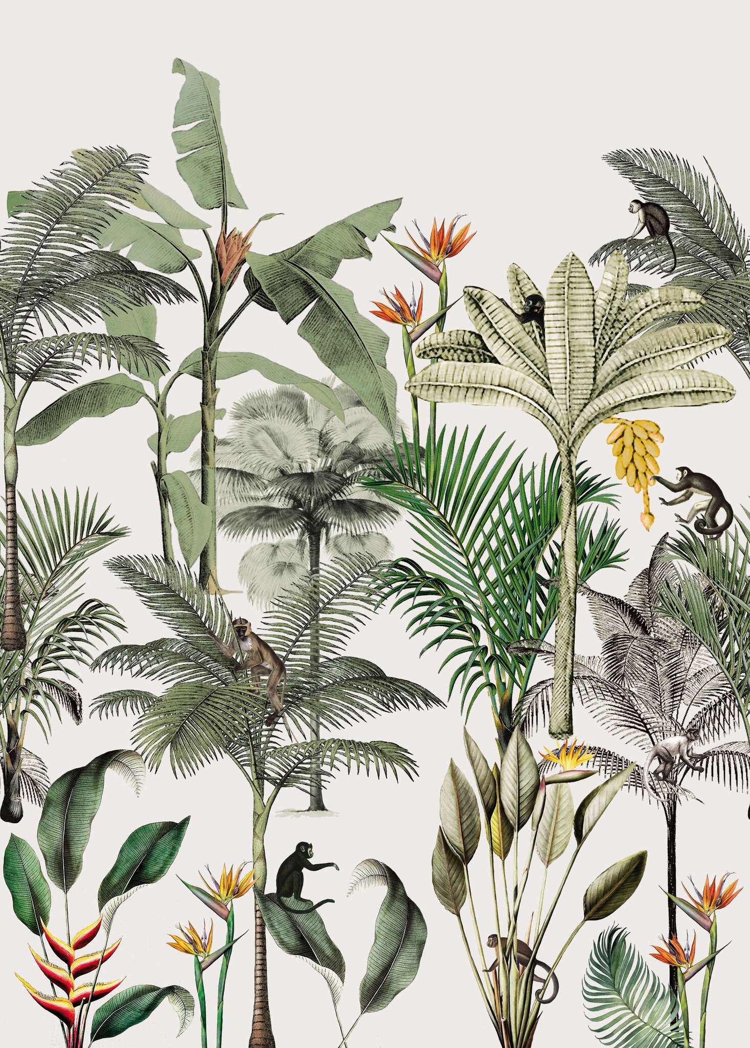 10-539172 Artikelscan 3 Club botanique wall mural 539172